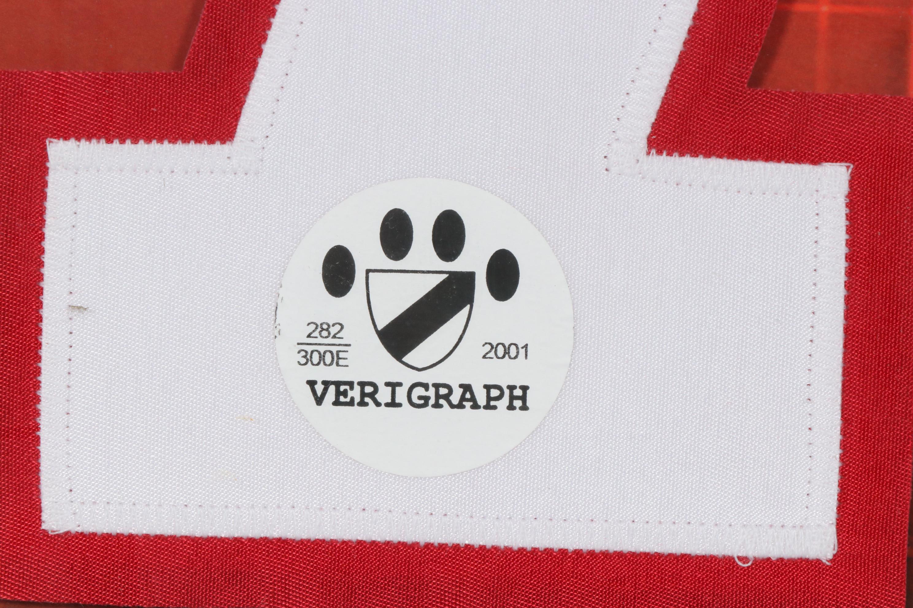 Michael Vick Atlanta Falcons Framed Autographed Jersey Number