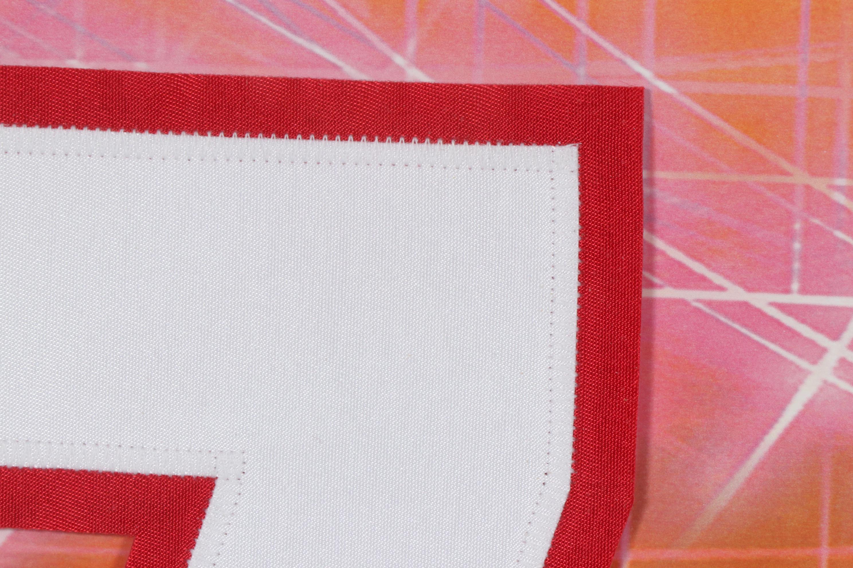 Michael Vick Atlanta Falcons Framed Autographed Jersey Number