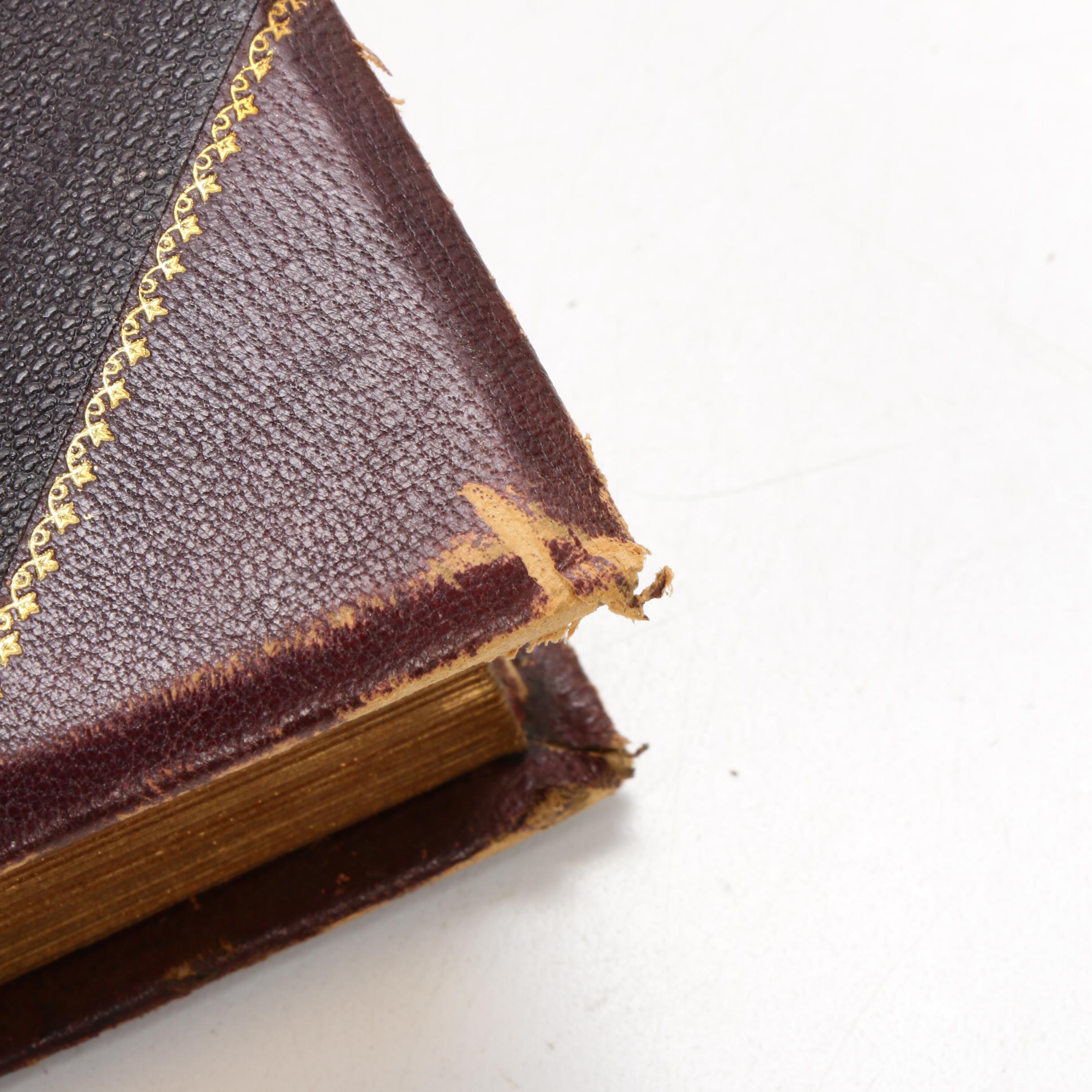 "Johnson's New Universal Cyclopaedia Vol. II" and Two 19th Century Encyclopedias