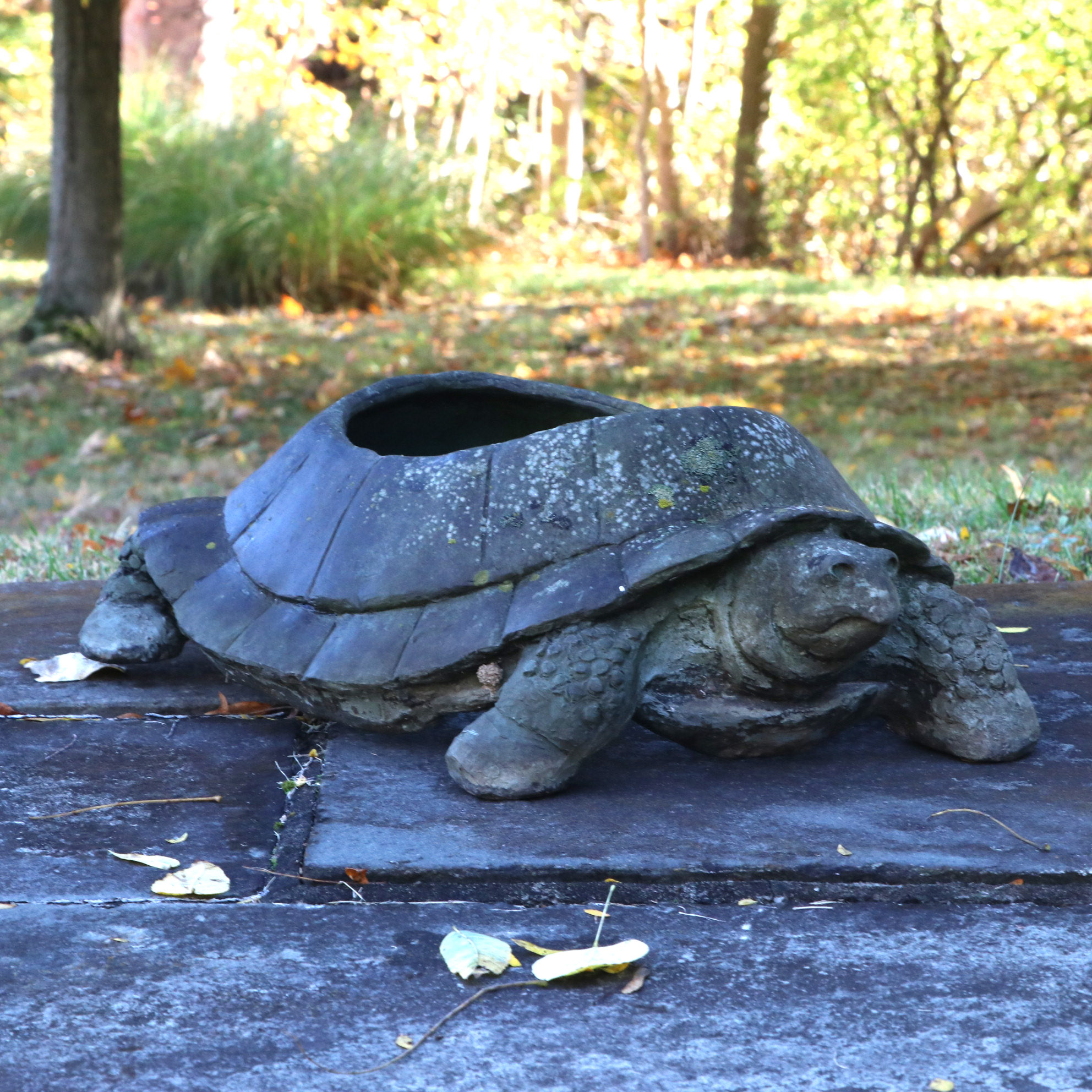 Open-Back Outdoor Turtle Planter