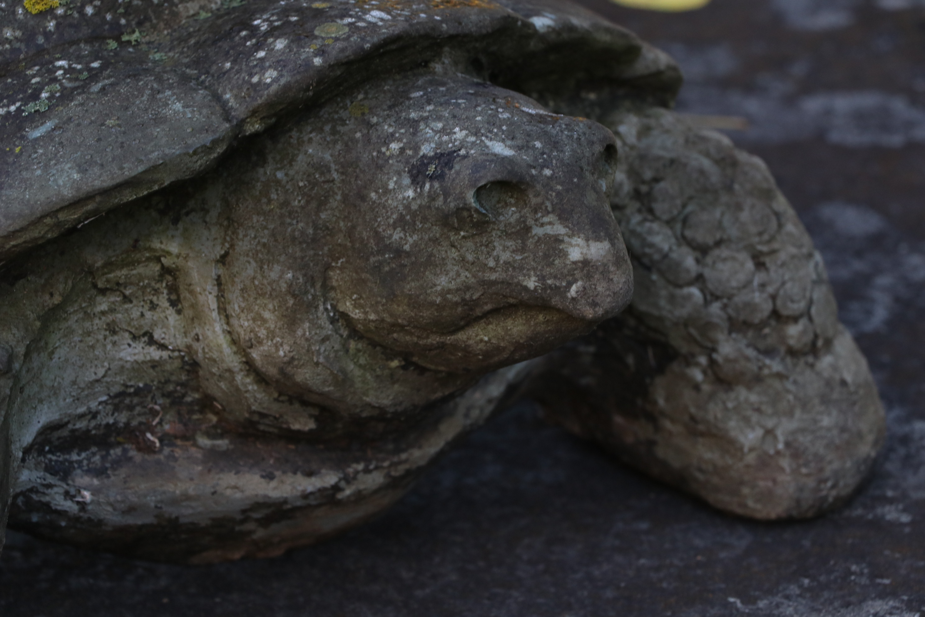 Open-Back Outdoor Turtle Planter