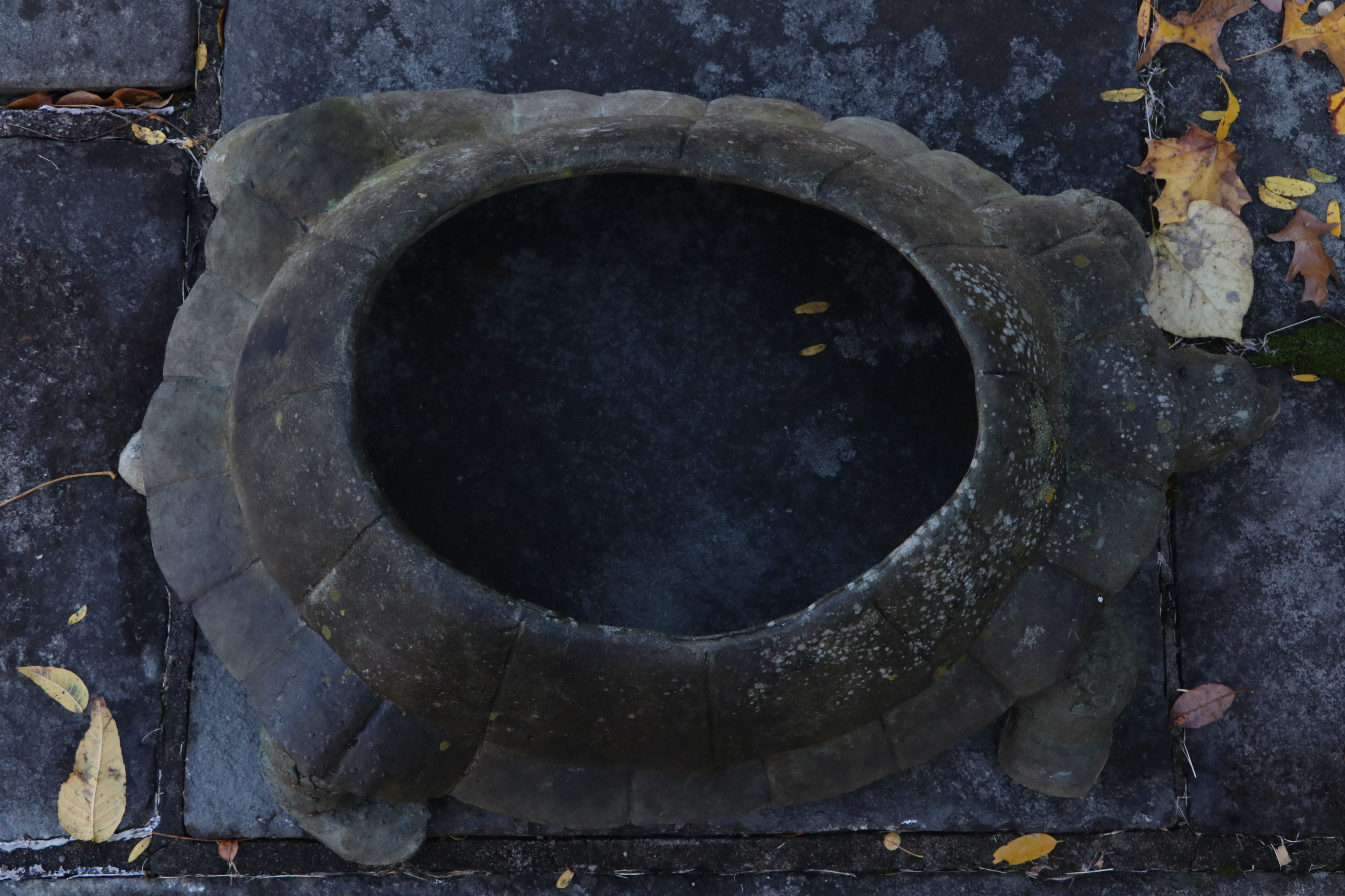 Open-Back Outdoor Turtle Planter