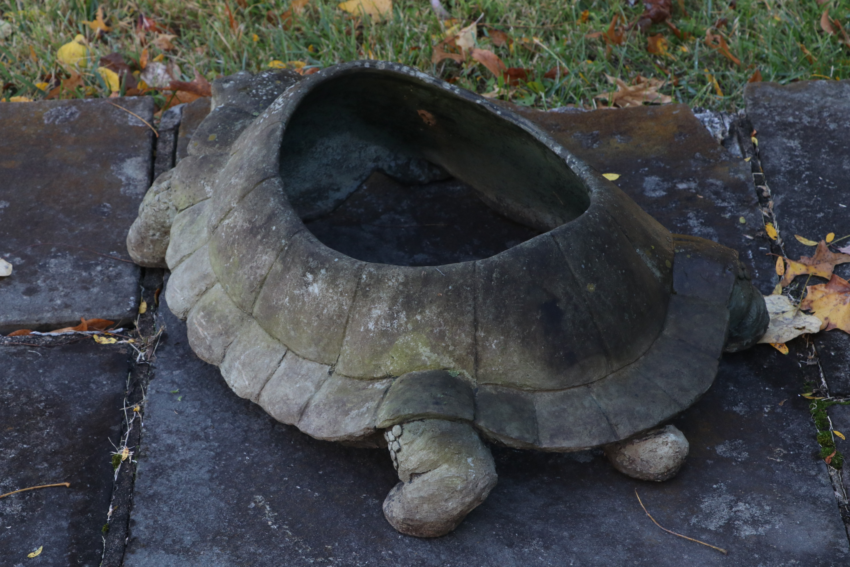 Open-Back Outdoor Turtle Planter