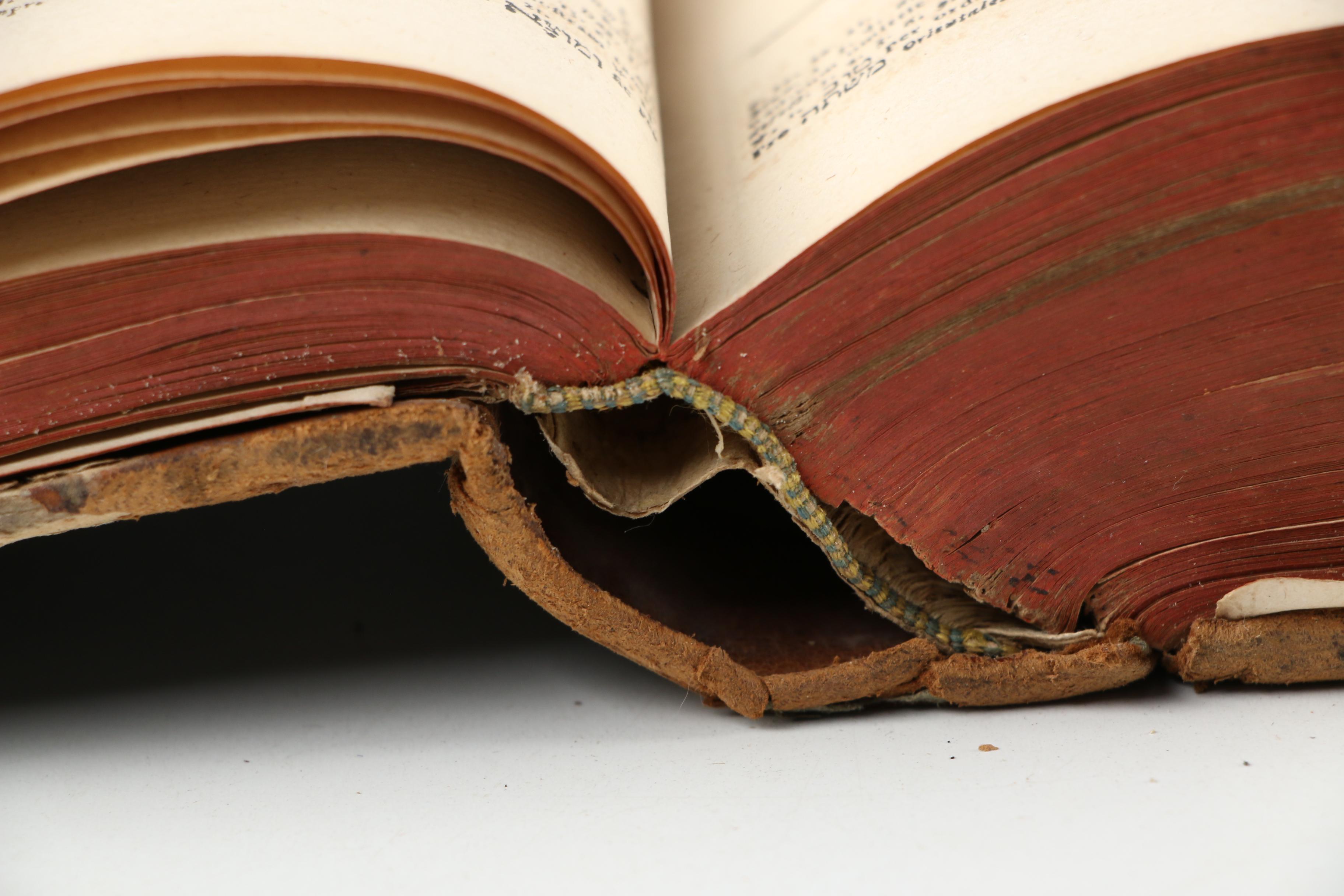 Hebrew and Latin "Biblia Hebraica" Two-Volume Set by J. H. Michaelis, 1720