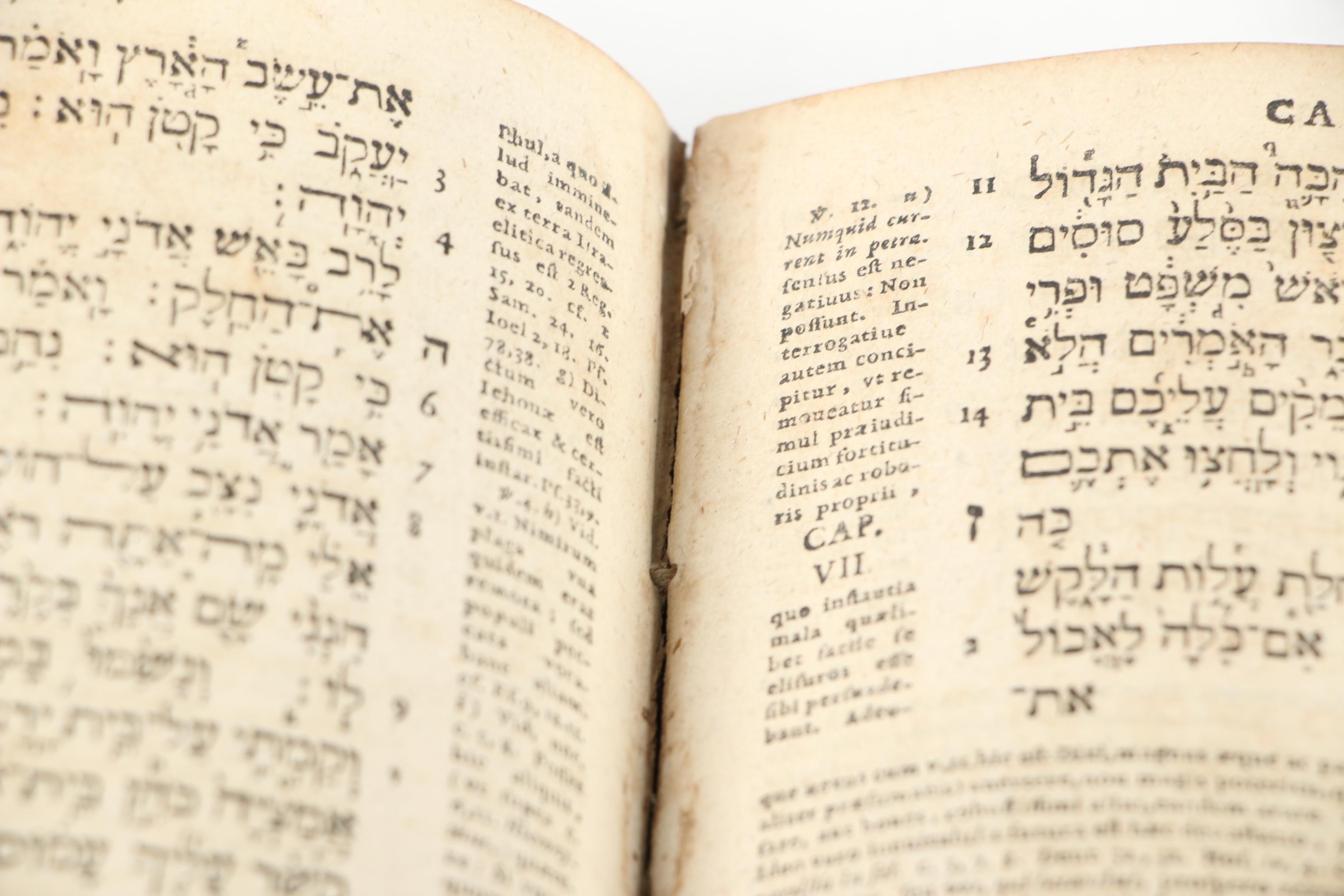 Hebrew and Latin "Biblia Hebraica" Two-Volume Set by J. H. Michaelis, 1720