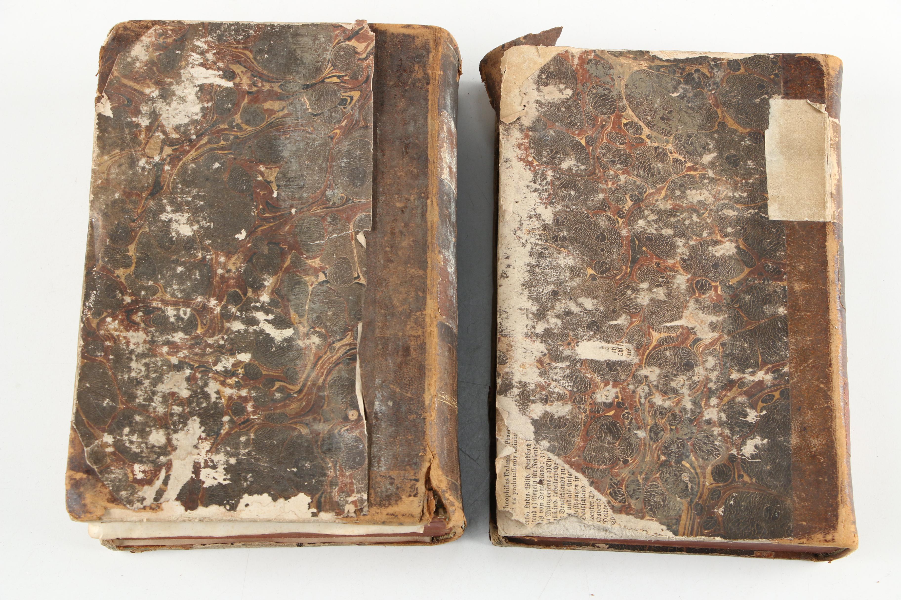 Hebrew and Latin "Biblia Hebraica" Two-Volume Set by J. H. Michaelis, 1720