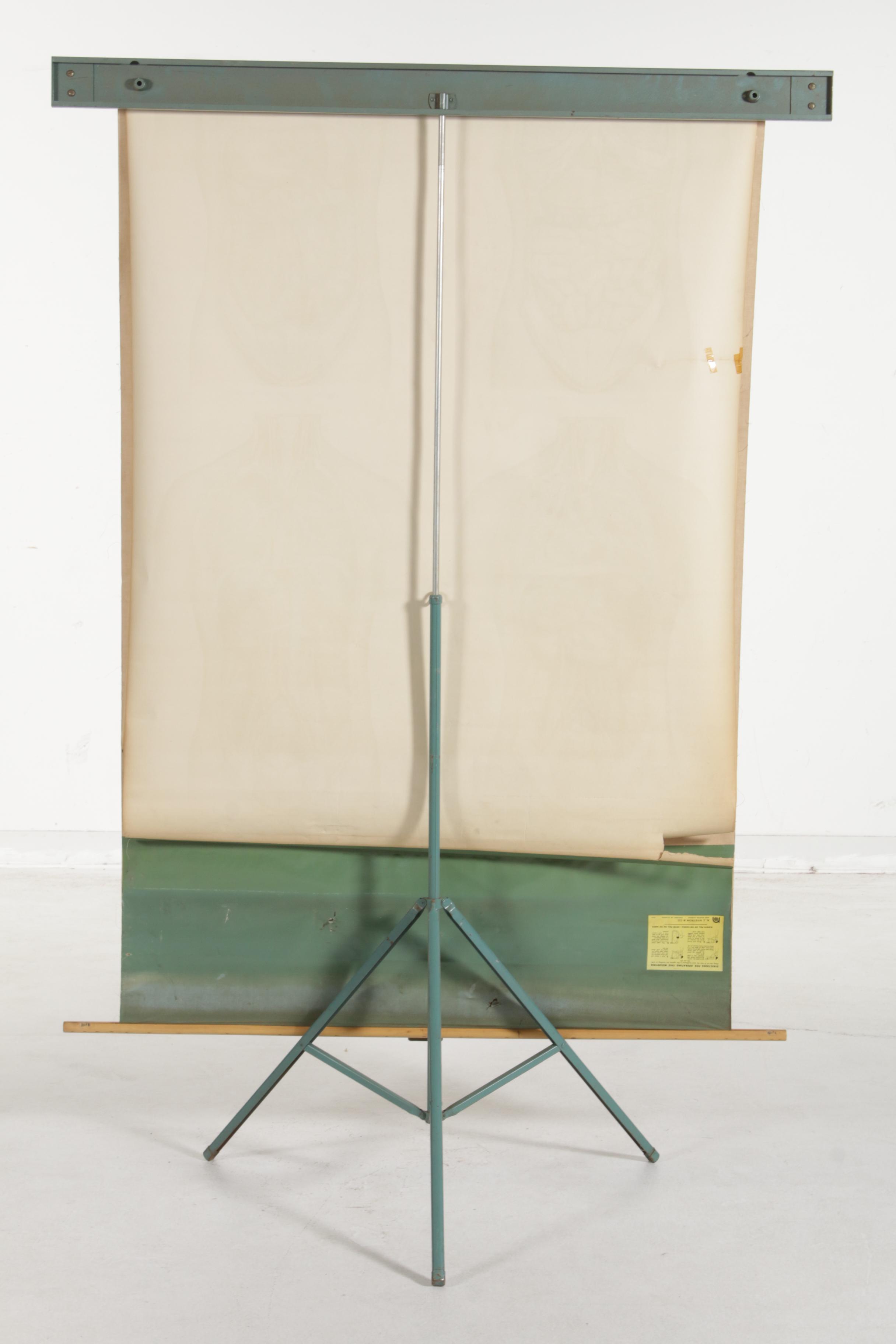 1918 A.J. Nystrom American "Frohse Anatomical" Medical Charts with Display Stand