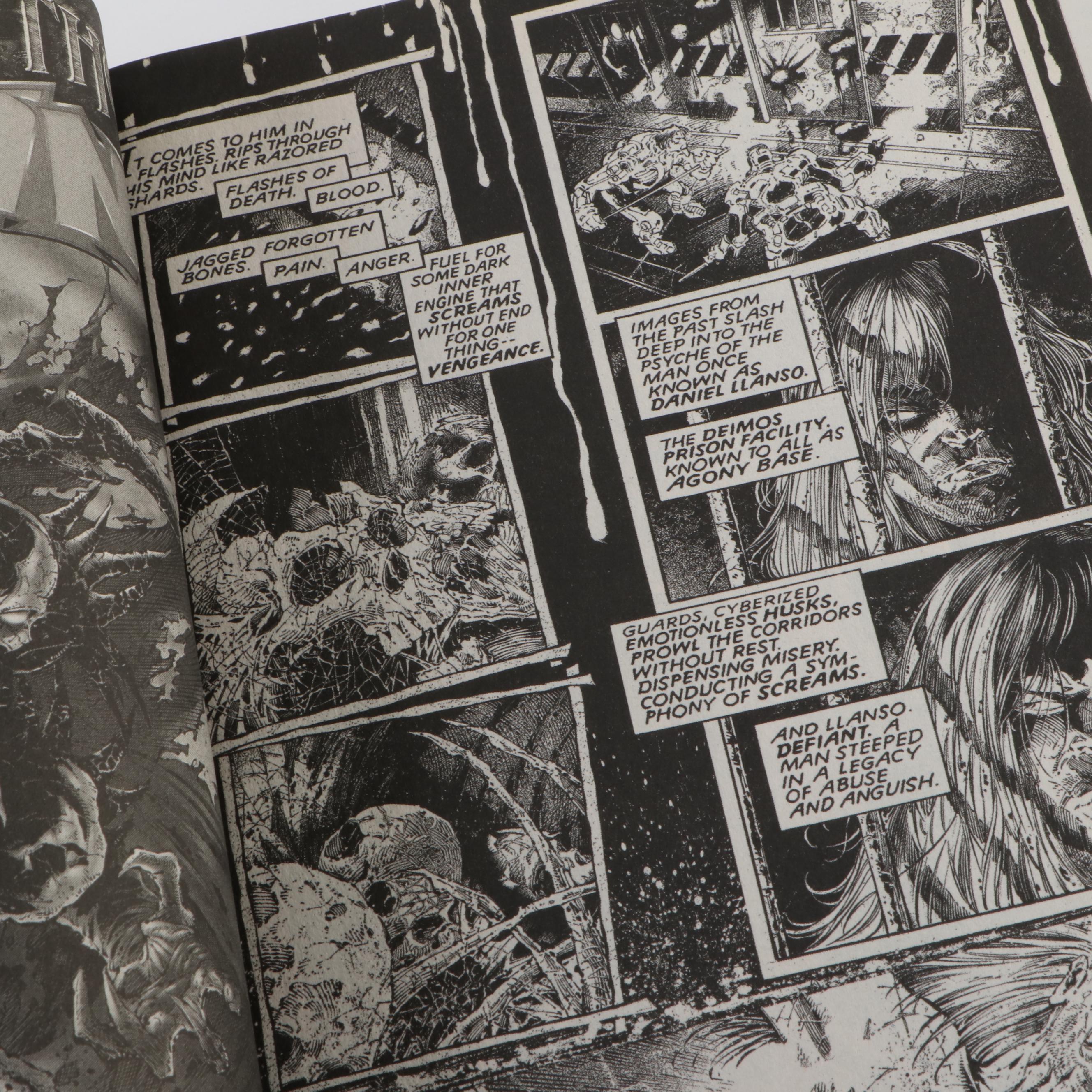 "Curse of Spawn," "Isola," "The Demon," and Other Comics