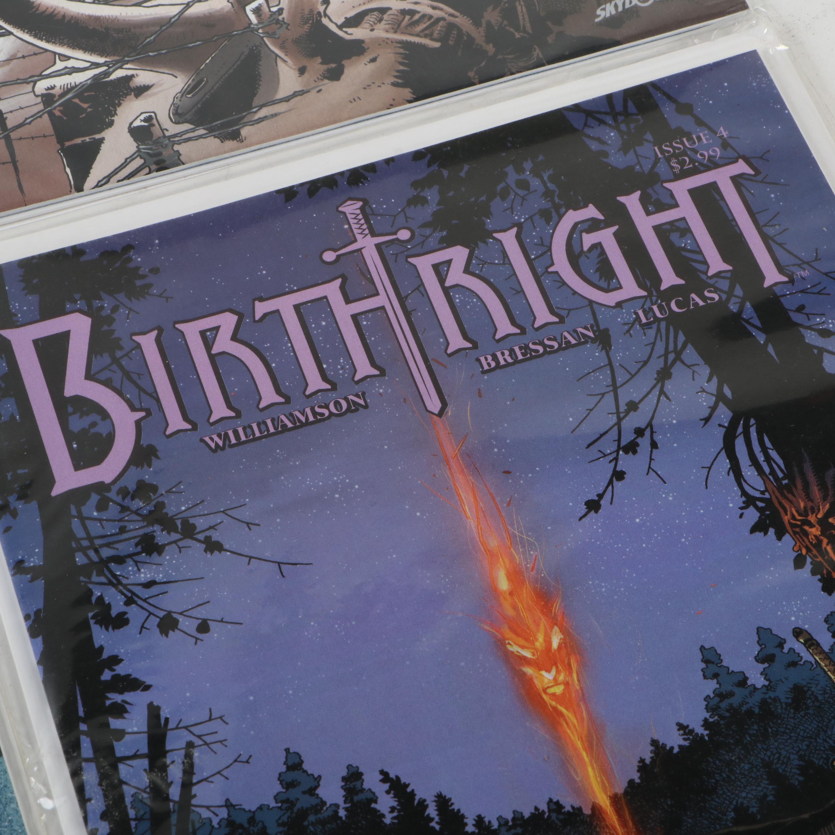 "Birthright" Comics