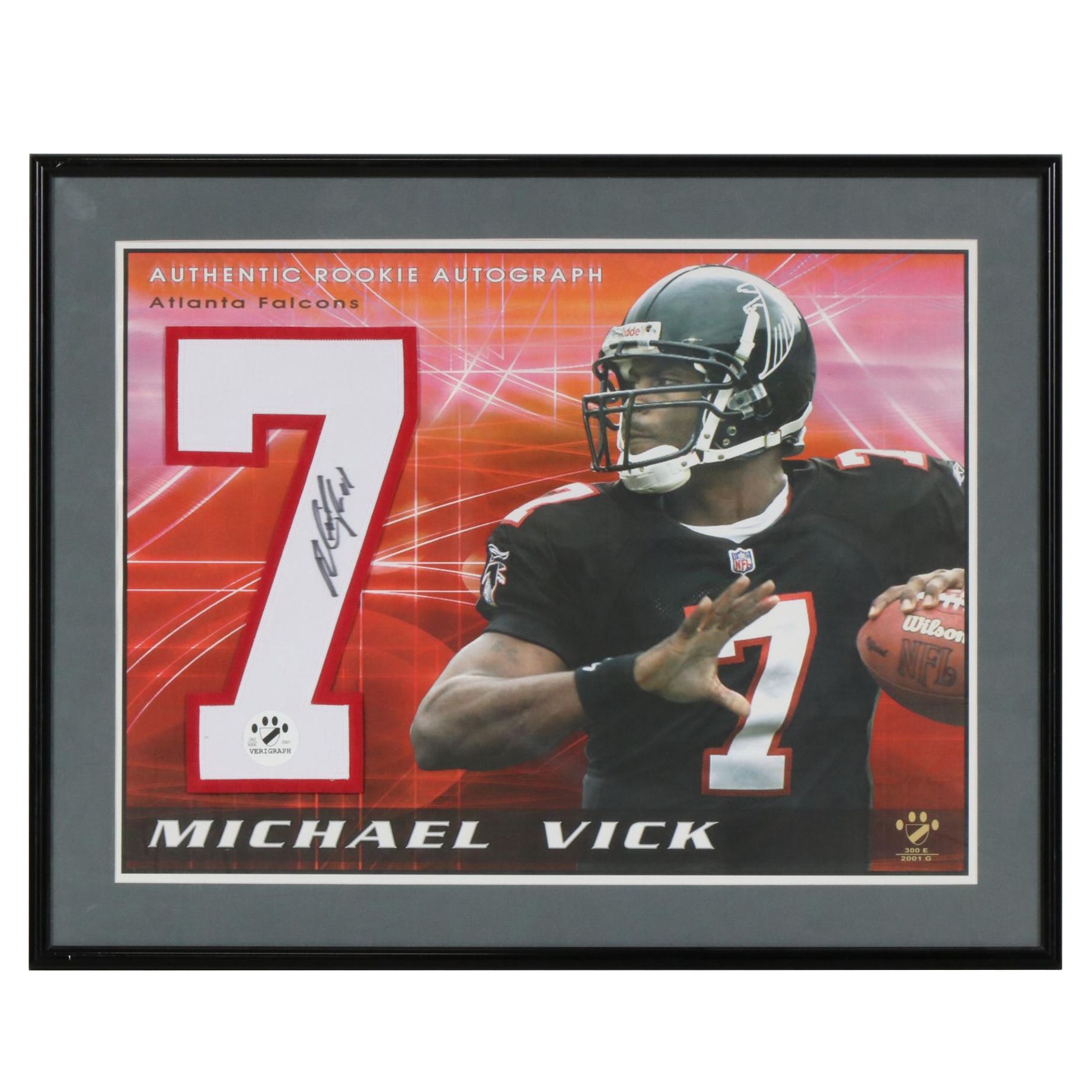 Michael Vick Atlanta Falcons Framed Autographed Jersey Number