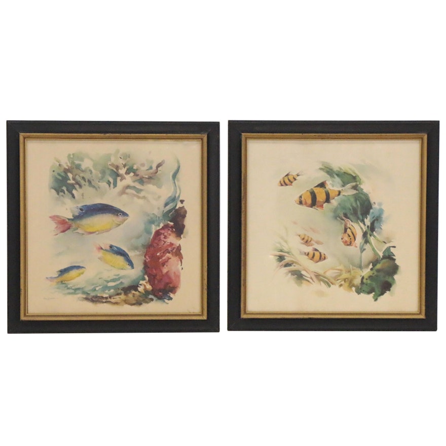 Offset Lithographs after Watercolor Paintings of Fish, 21st Century