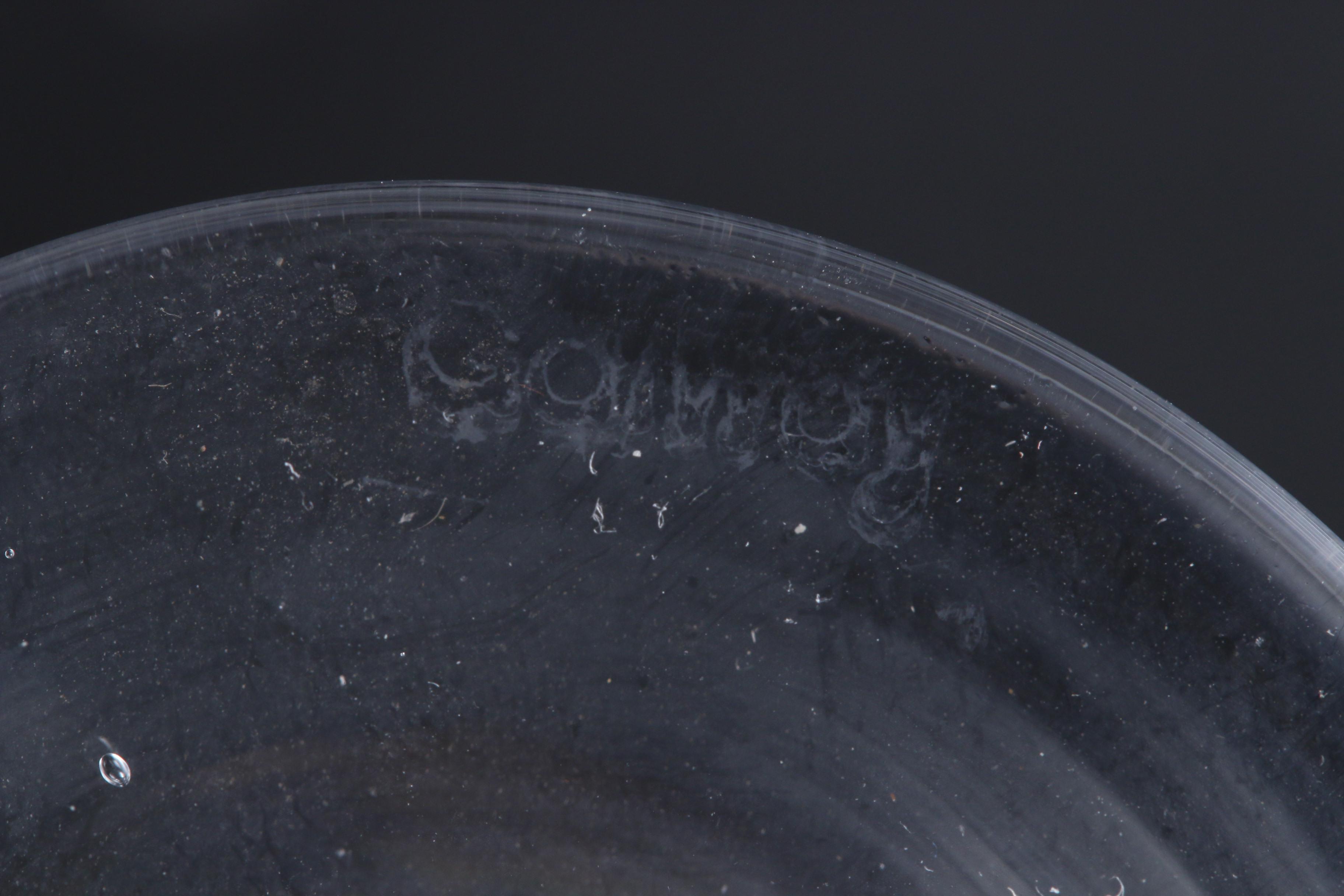 Galway "Erin" Crystal Liquor Cocktail Glasses