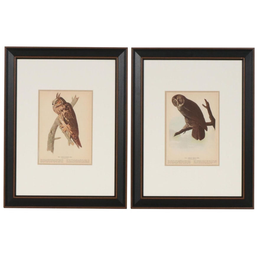 Offset Lithographs after J. J. Audubon "Birds of America" Series, 20th Century