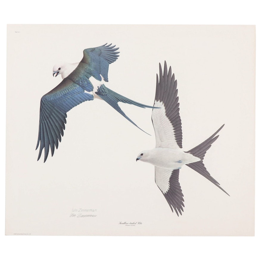 William Zimmerman Offset Lithograph "Swallow-Tailed Kite"