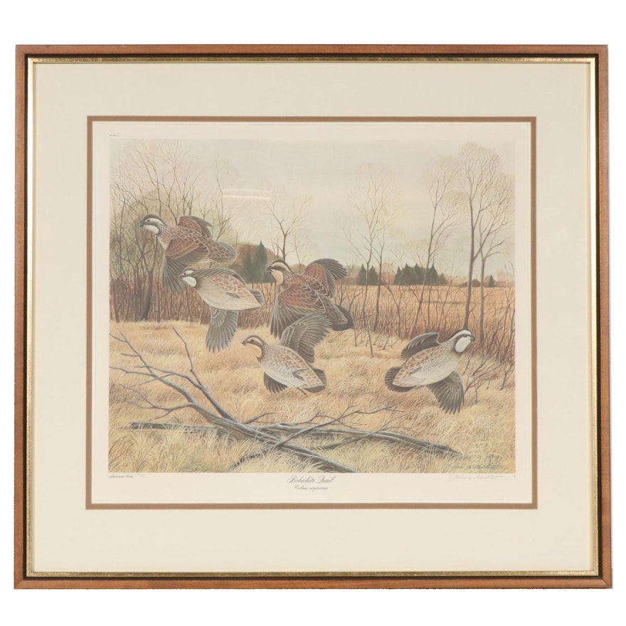 John A. Ruthven Offset Lithograph "Bobwhite Quail"