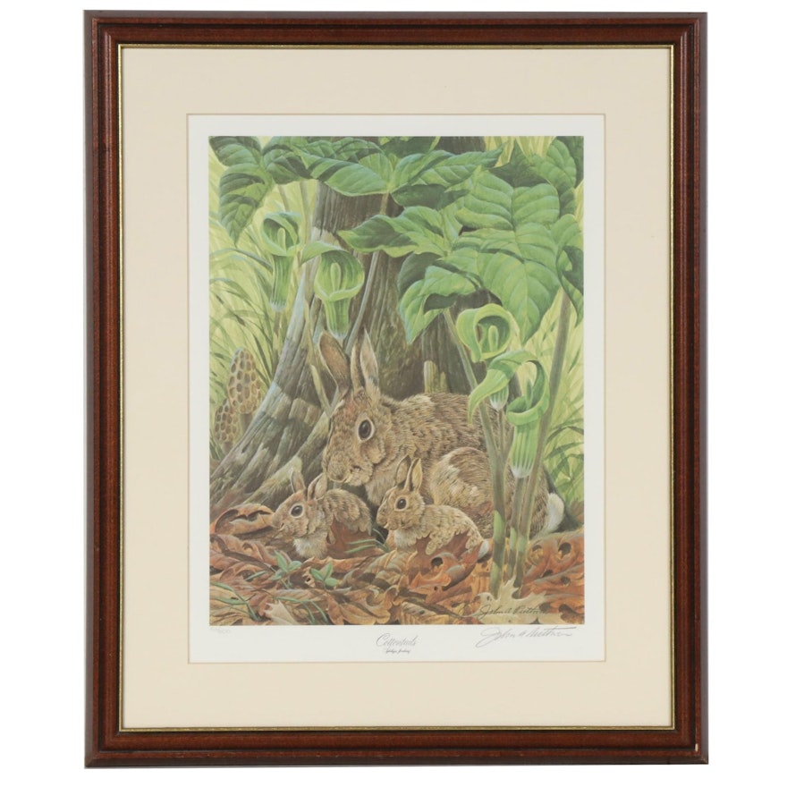 John A. Ruthven Offset Lithograph "Cottontails"