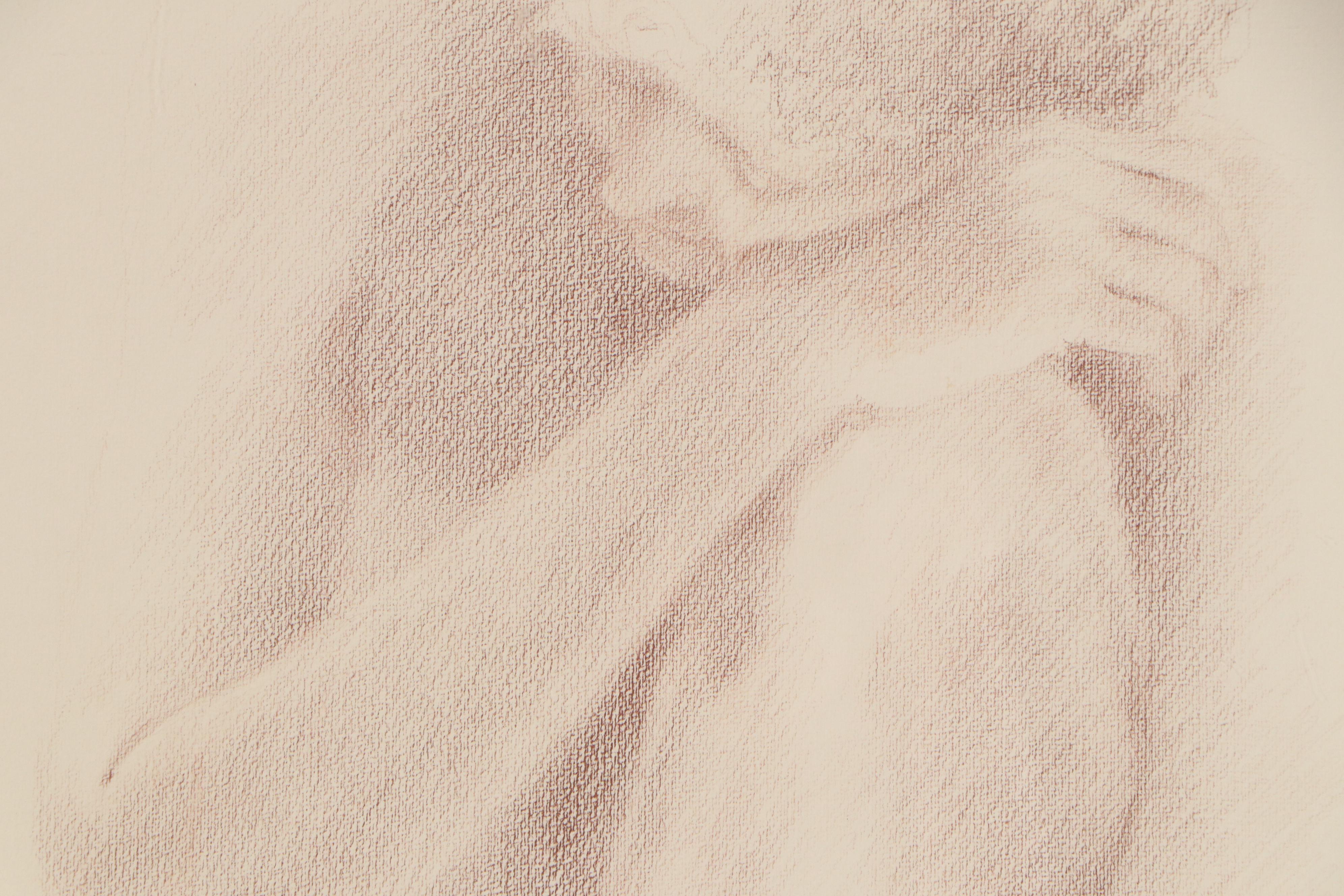 Joan Root Color Pencil Drawing "Evening," 1978