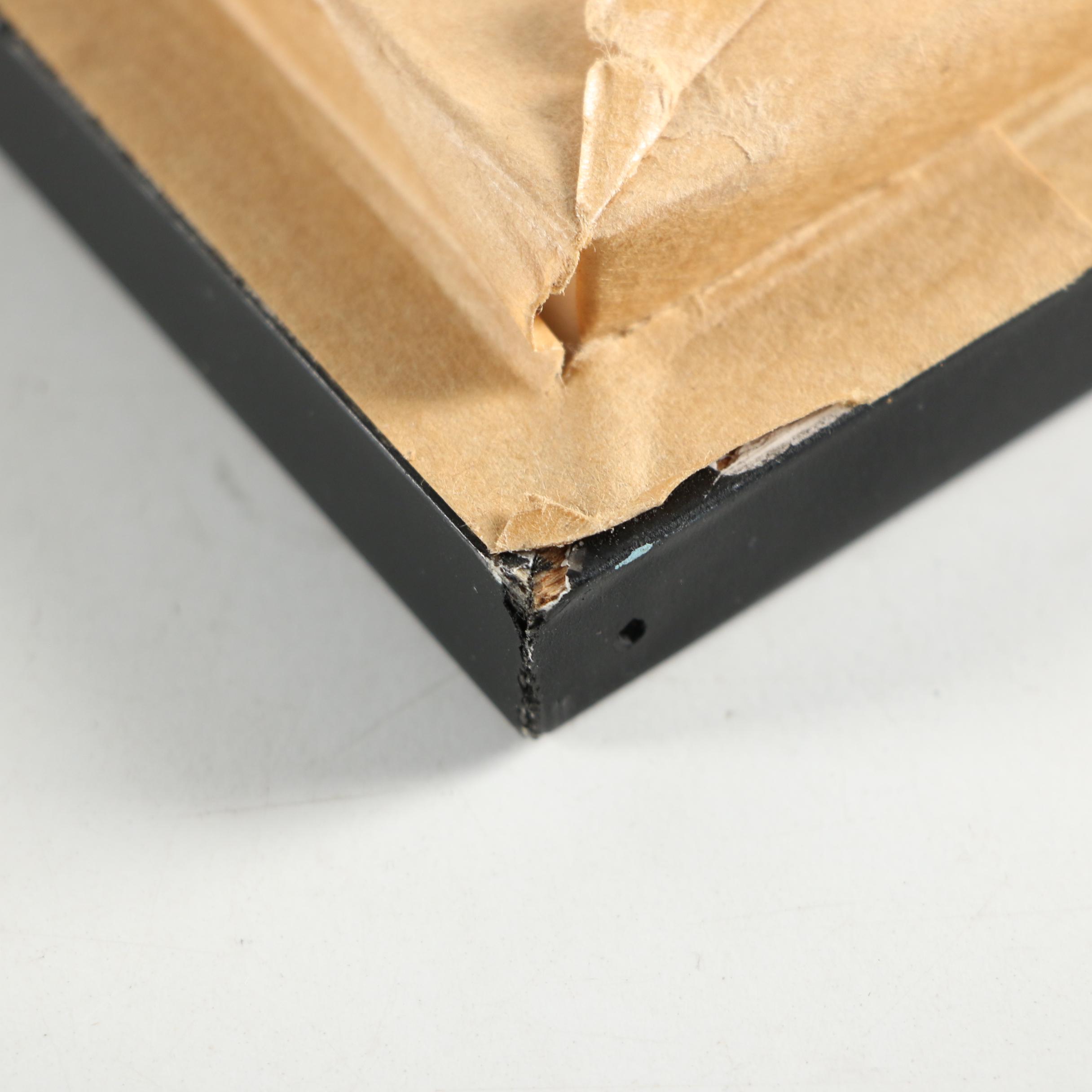 Mounted Asian Butterfly Taxidermy Specimens