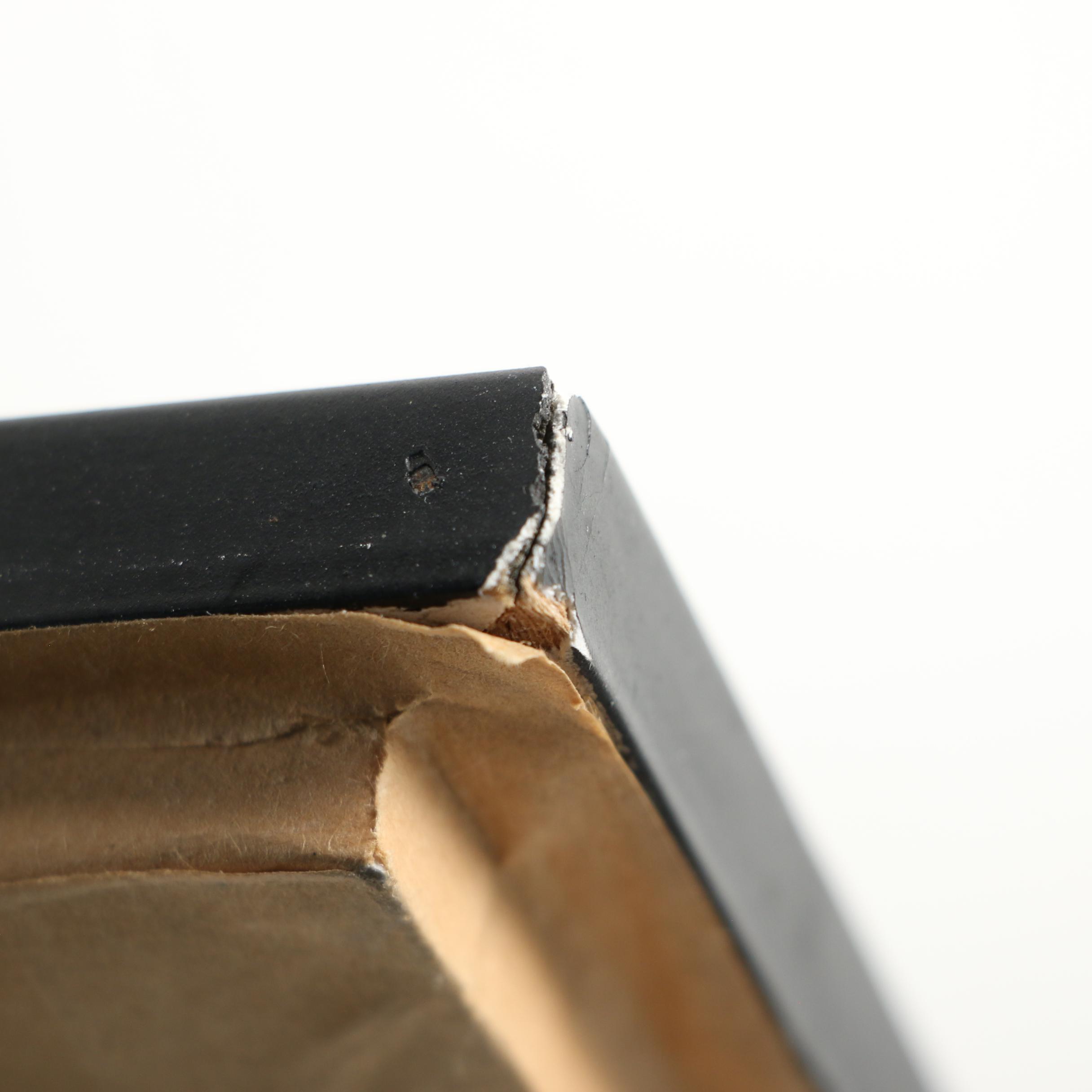 Mounted Asian Butterfly Taxidermy Specimens