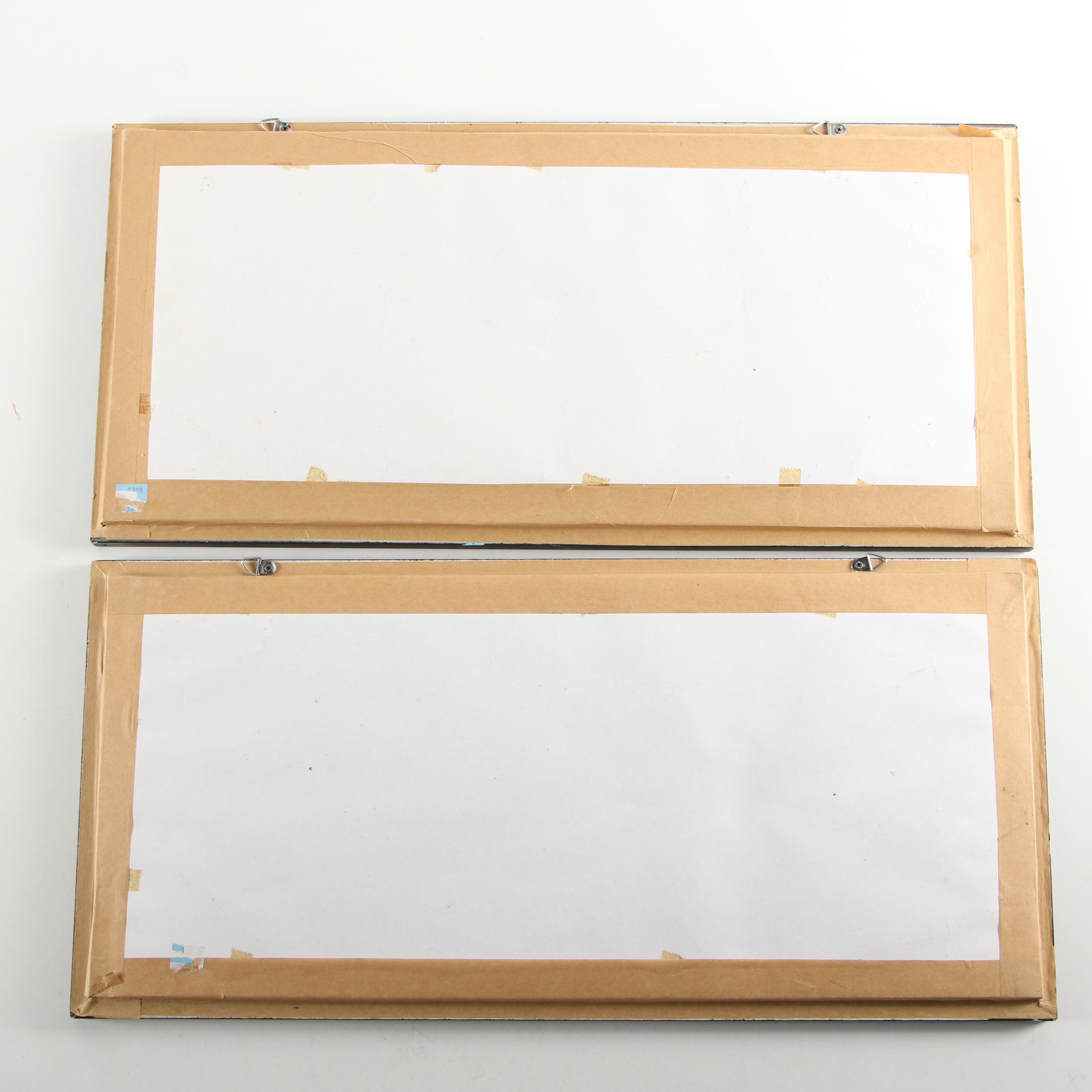 Mounted Asian Butterfly Taxidermy Specimens