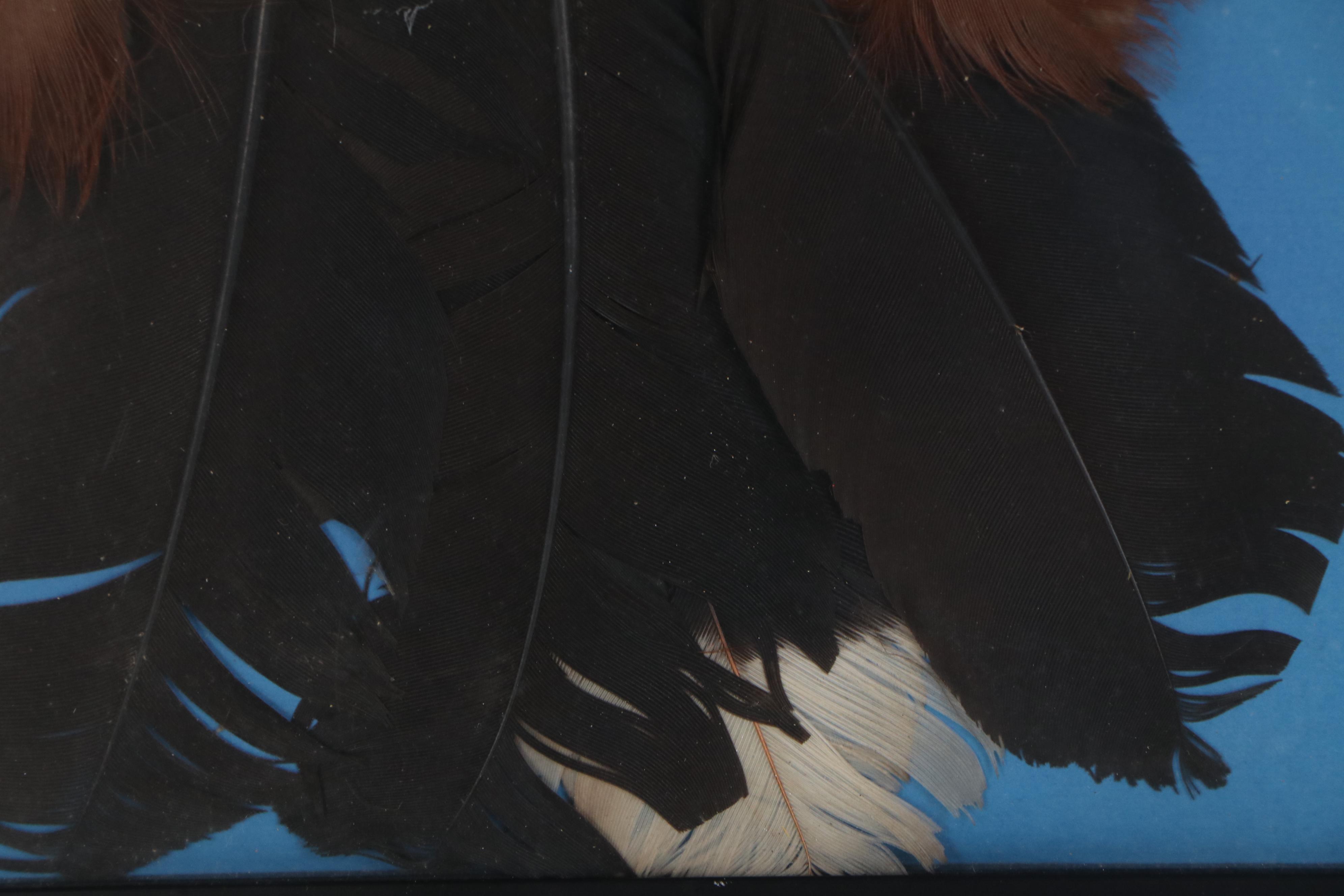 Amazonian Style Feather Headdress, Rikbaktsa People