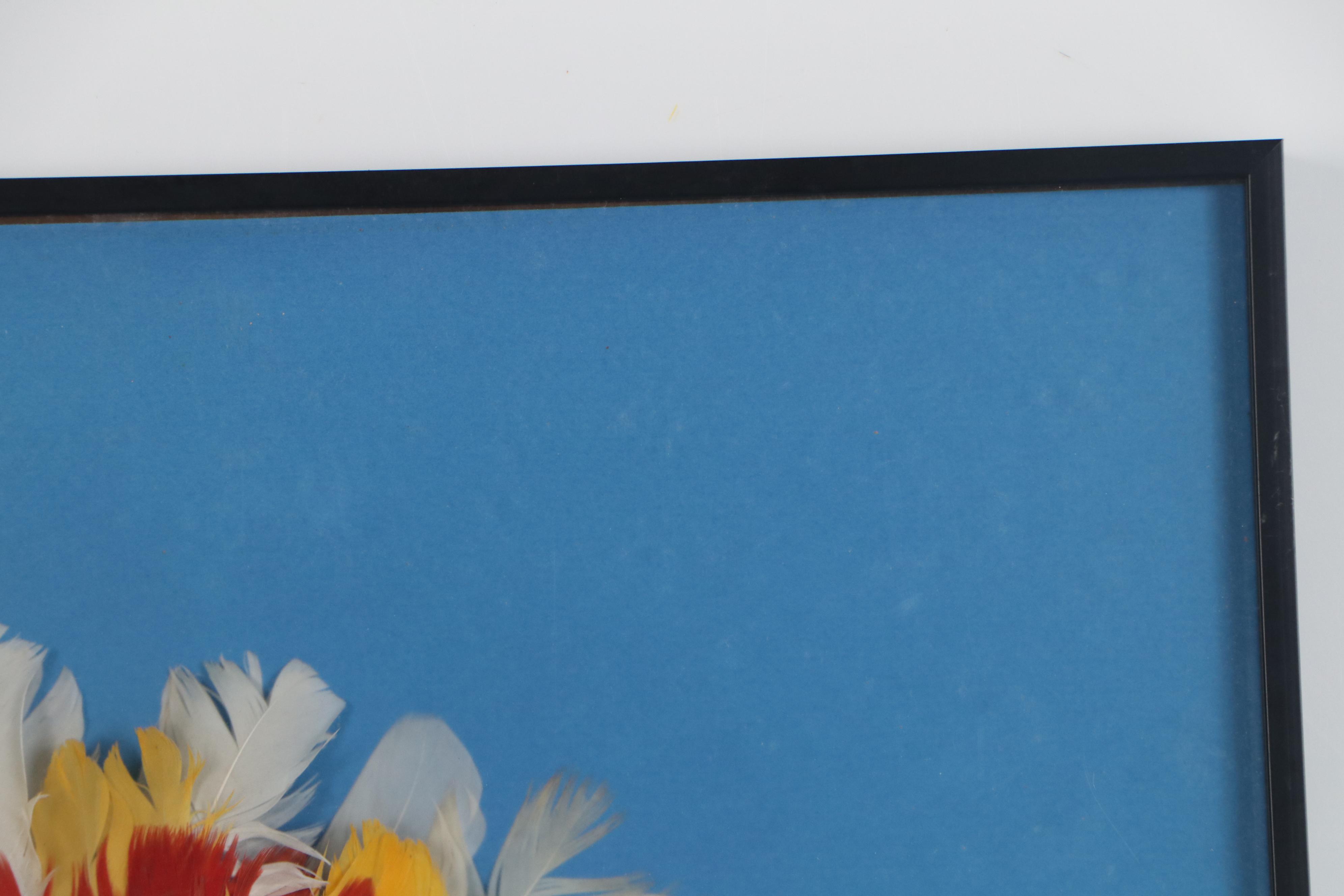 Amazonian Style Feather Headdress, Rikbaktsa People