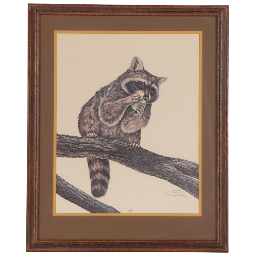 W. D. Gaither Offset Lithograph of Raccoon, Late 20th Century