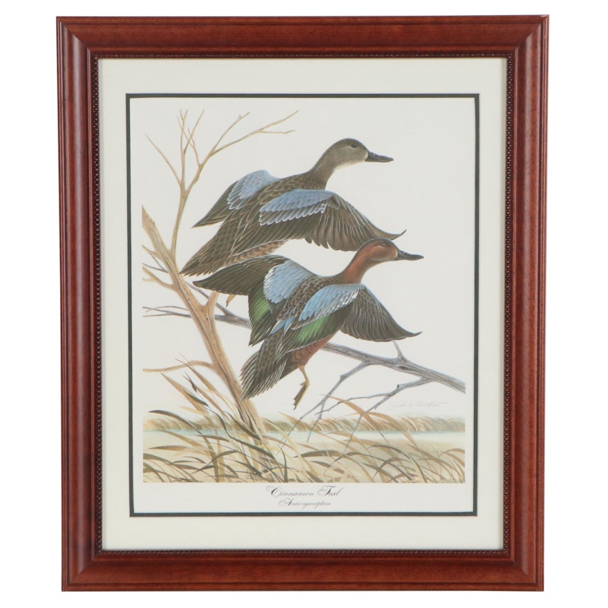 Offset Lithograph after John Ruthven "Cinnamon Teal"