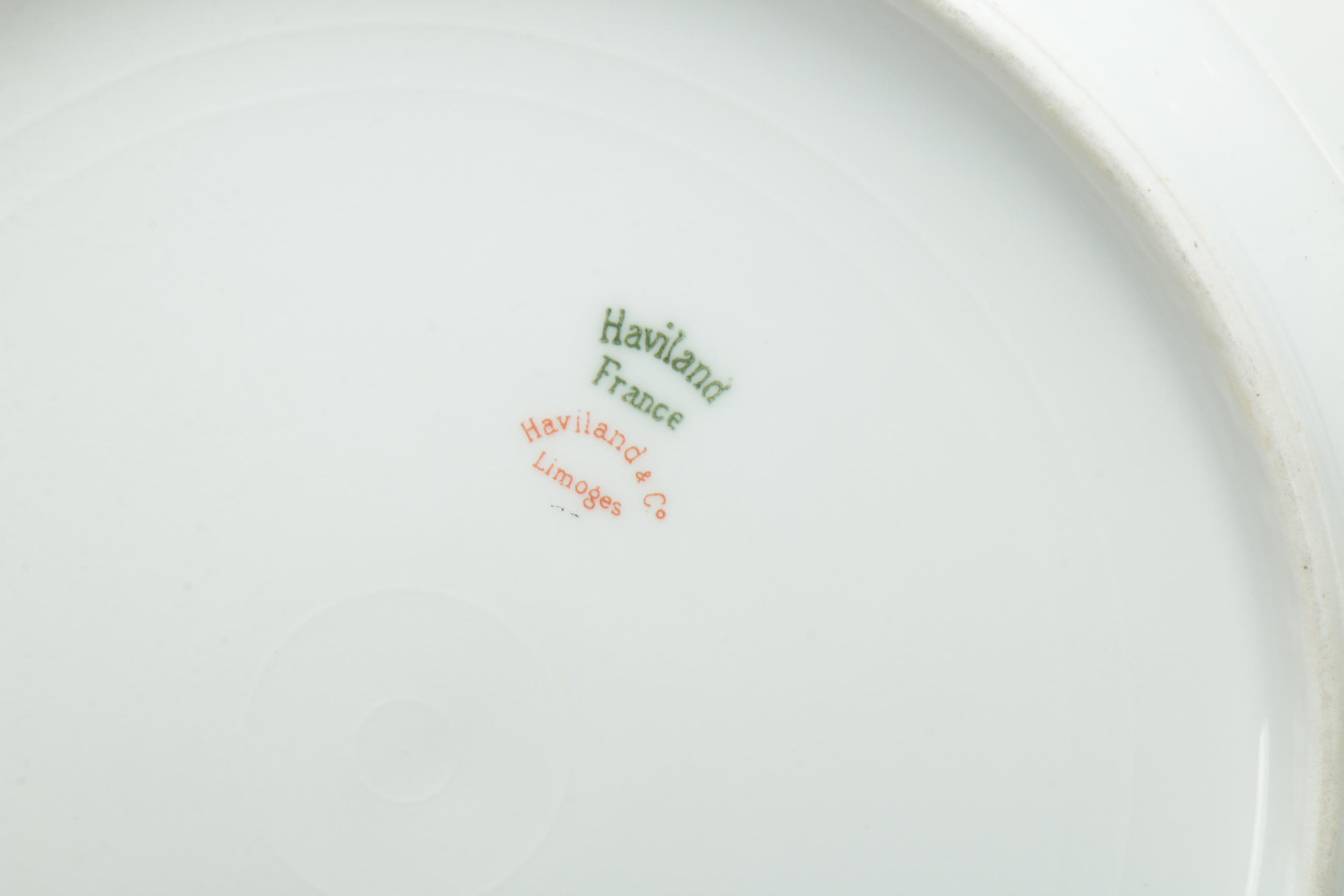 Haviland & Co. Limoges Floral Porcelain Dinner and Serveware