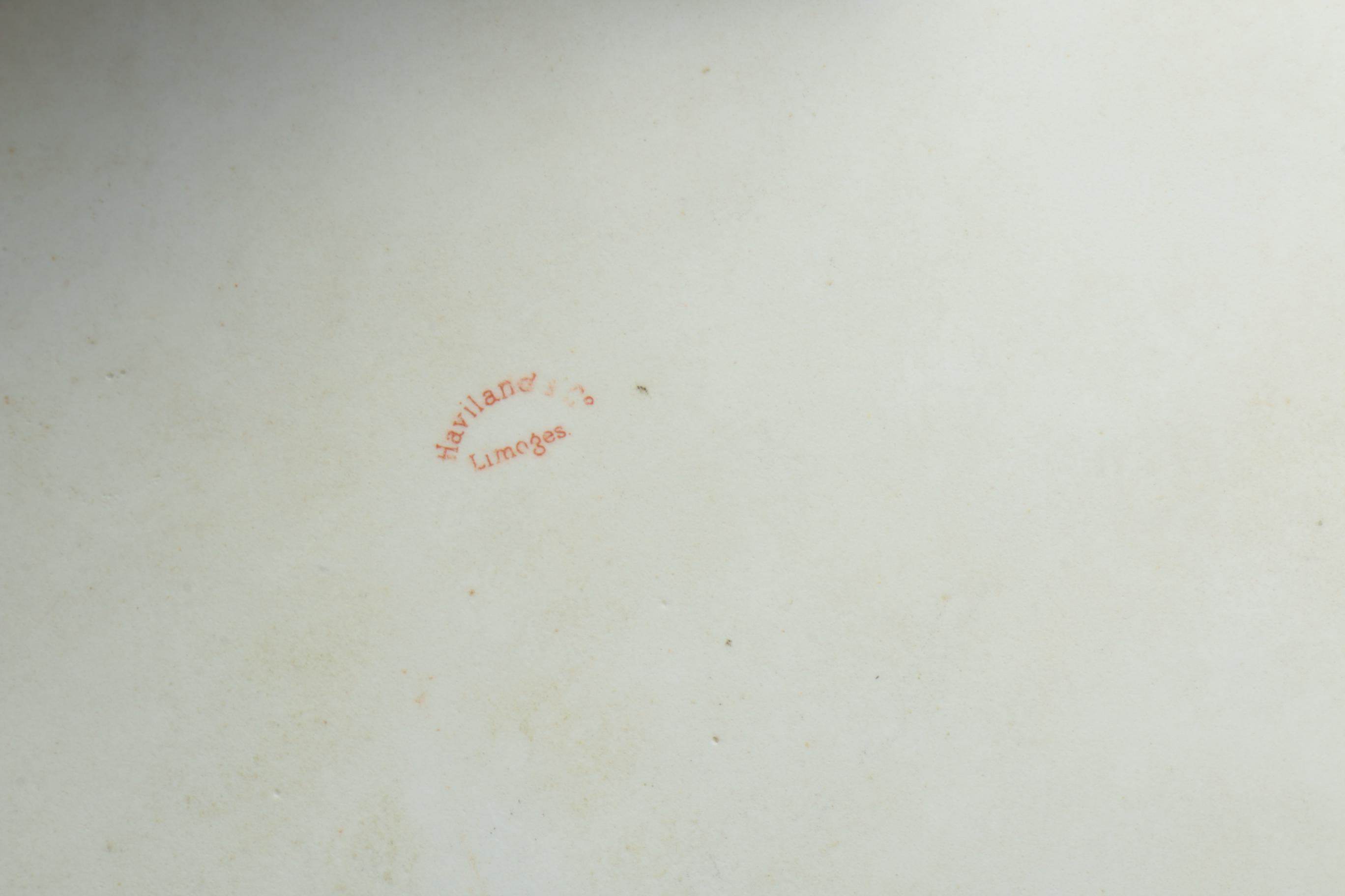 Haviland & Co. Limoges Floral Porcelain Dinner and Serveware