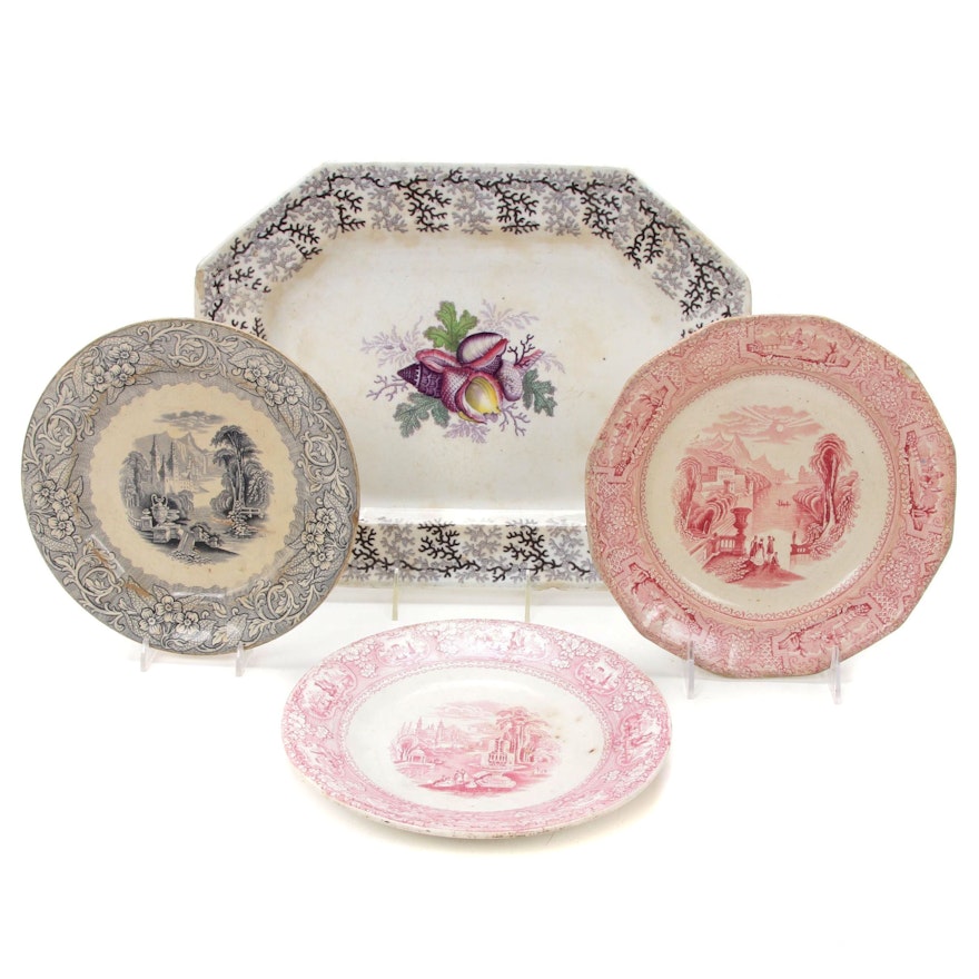 English Hand Colored Seaweed Platter and Other Ironstone Plates, Mid 19th C.