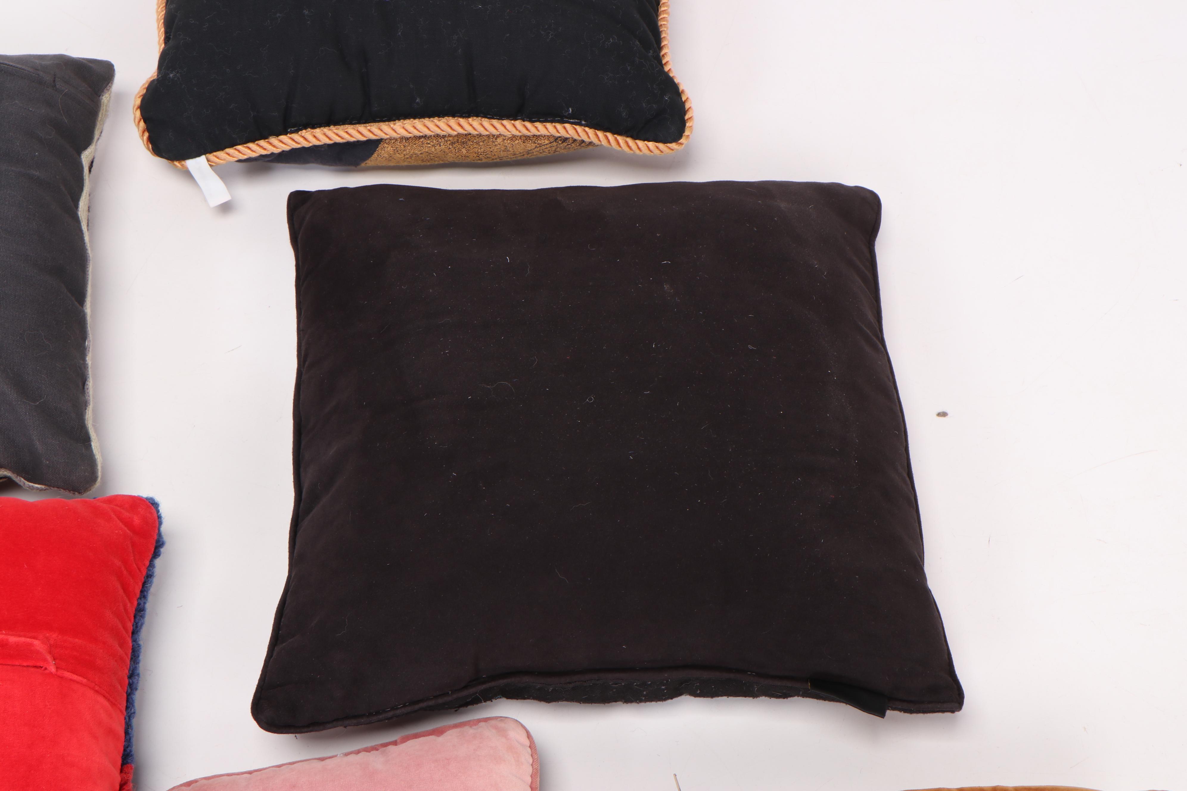 Chandler 4 Corners, Laurel Burch, and Other Pillows