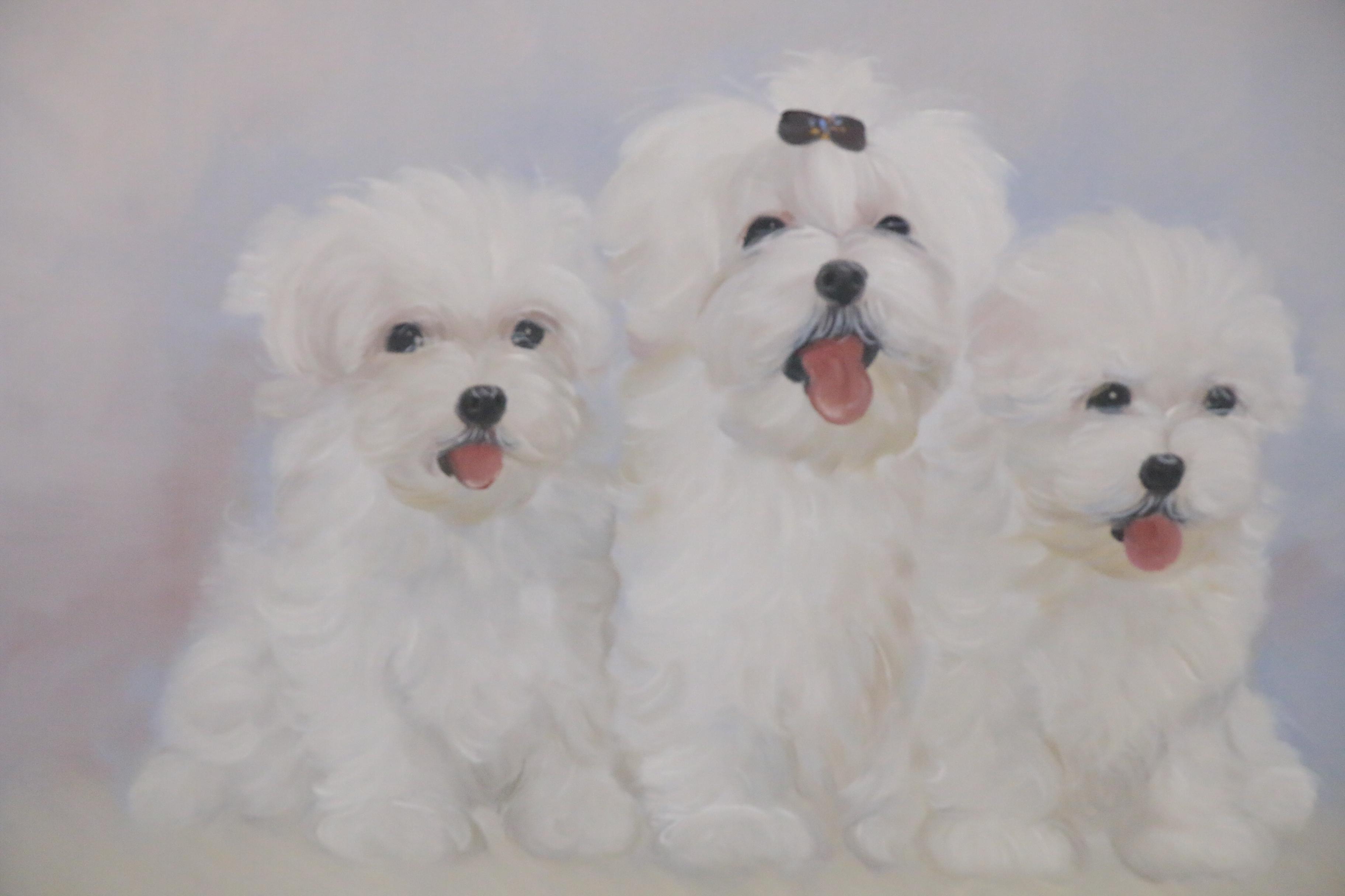 Oil Painting of Maltese Puppies, Late 20th Century