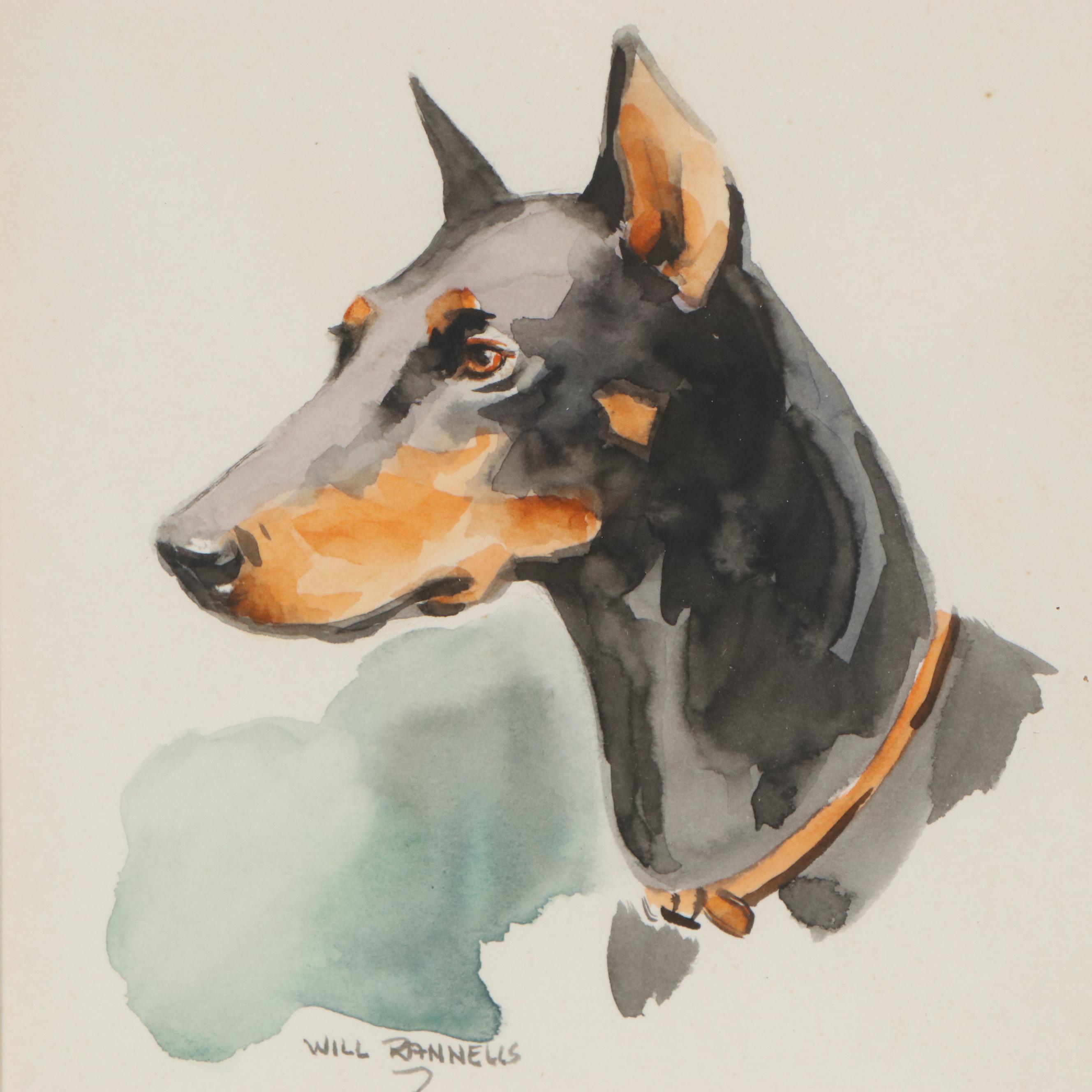 Will Rannells Watercolor Painting of a Dobermann, Mid 20th Century