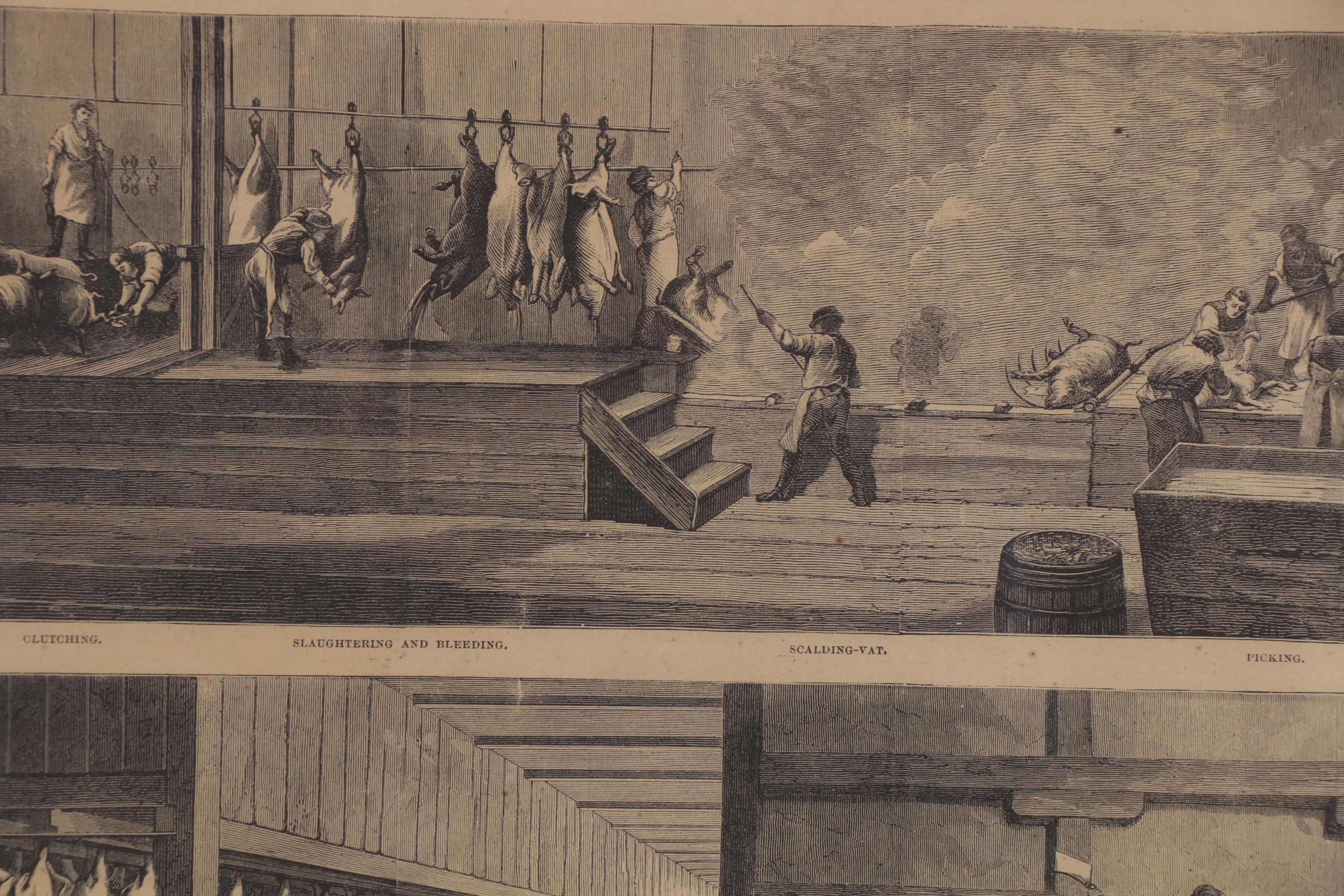 Wood Engraving after Henry Farny "Hog-Slaughtering and Pork-Packing..."