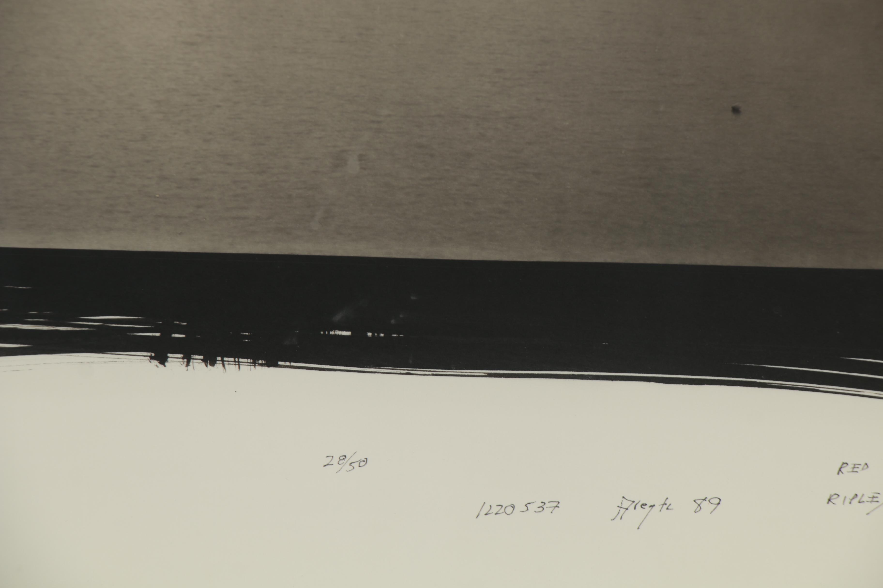 Dick Arentz Silver Gelatin Photograph "Red Oak Creek, Ripley, Ohio," 1989