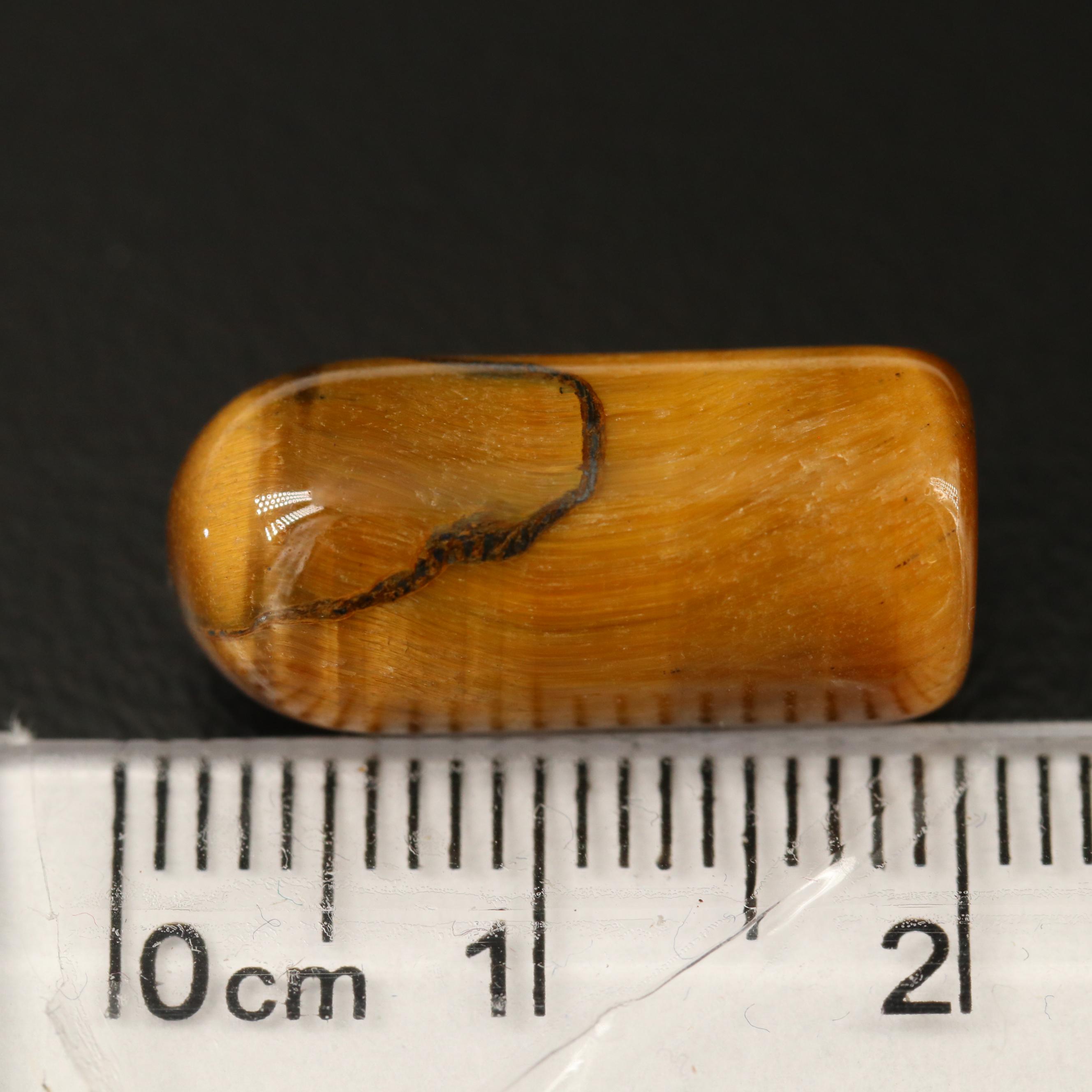 Loose 626.13 CTW Tiger's Eye Selection Featuring Capsule Shapes