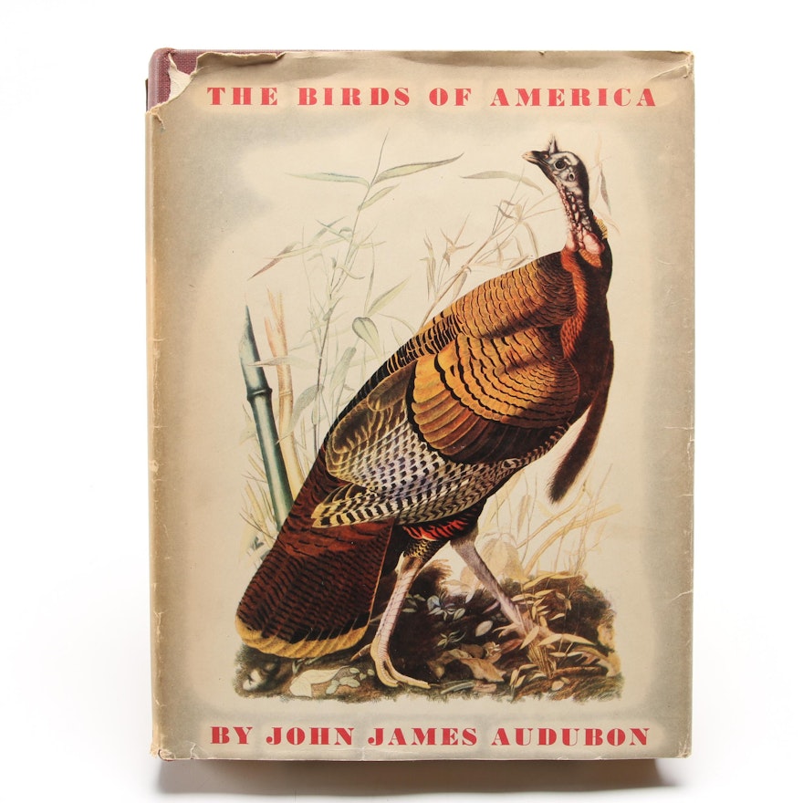 Fifth Printing "The Birds of America" by John James Audubon, 1946