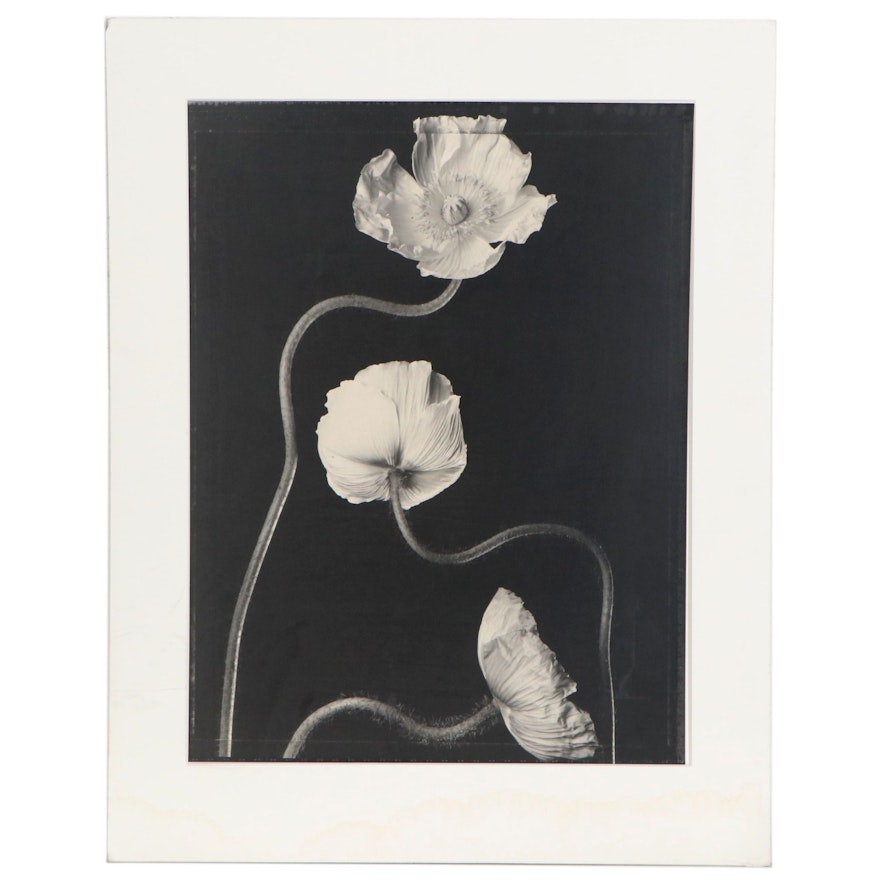 Tom Baril Toned Silver Print "3 Poppies #2," 1999