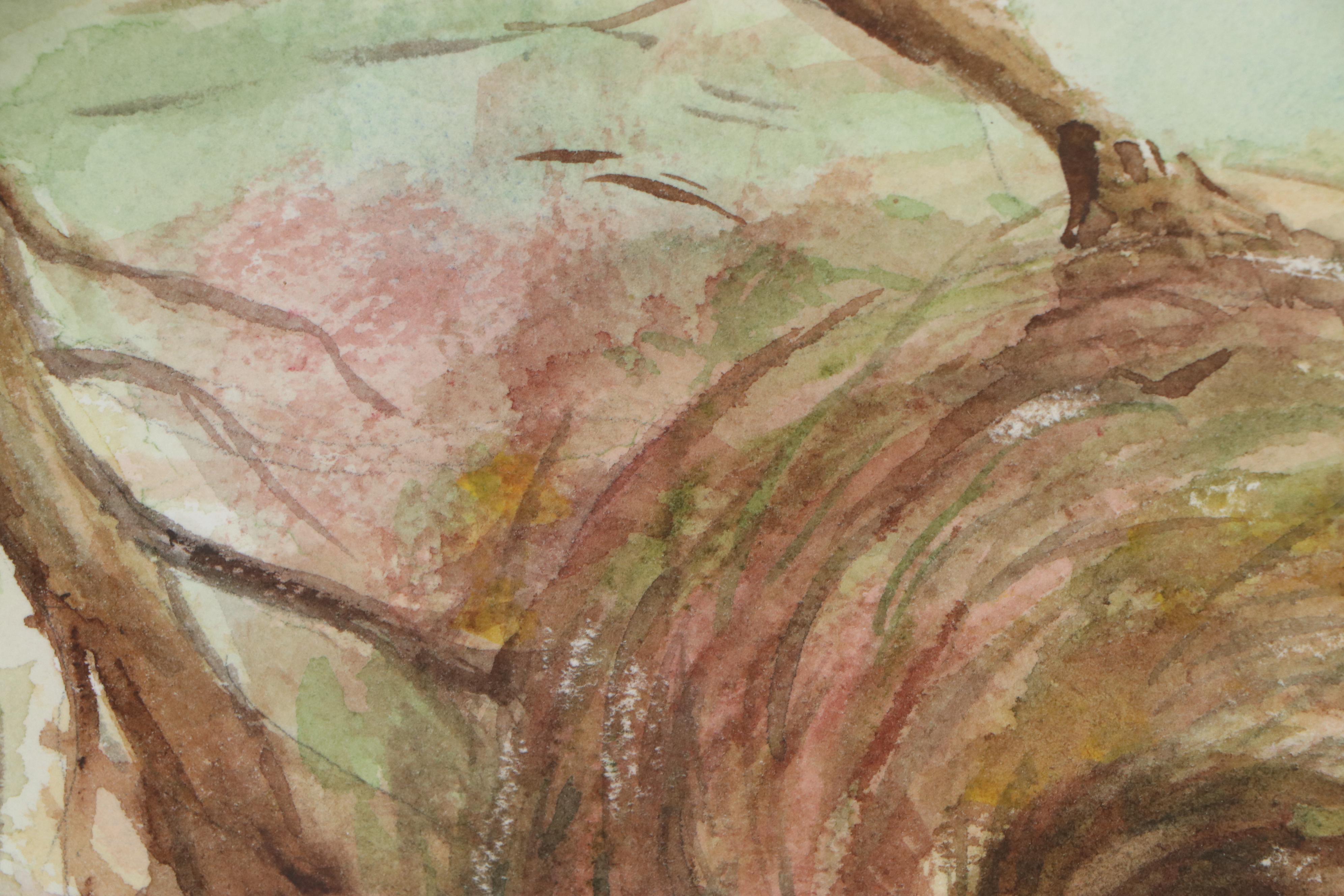 Judy Whittaker Watercolor Paintings of Bird's Nest and Daffodils