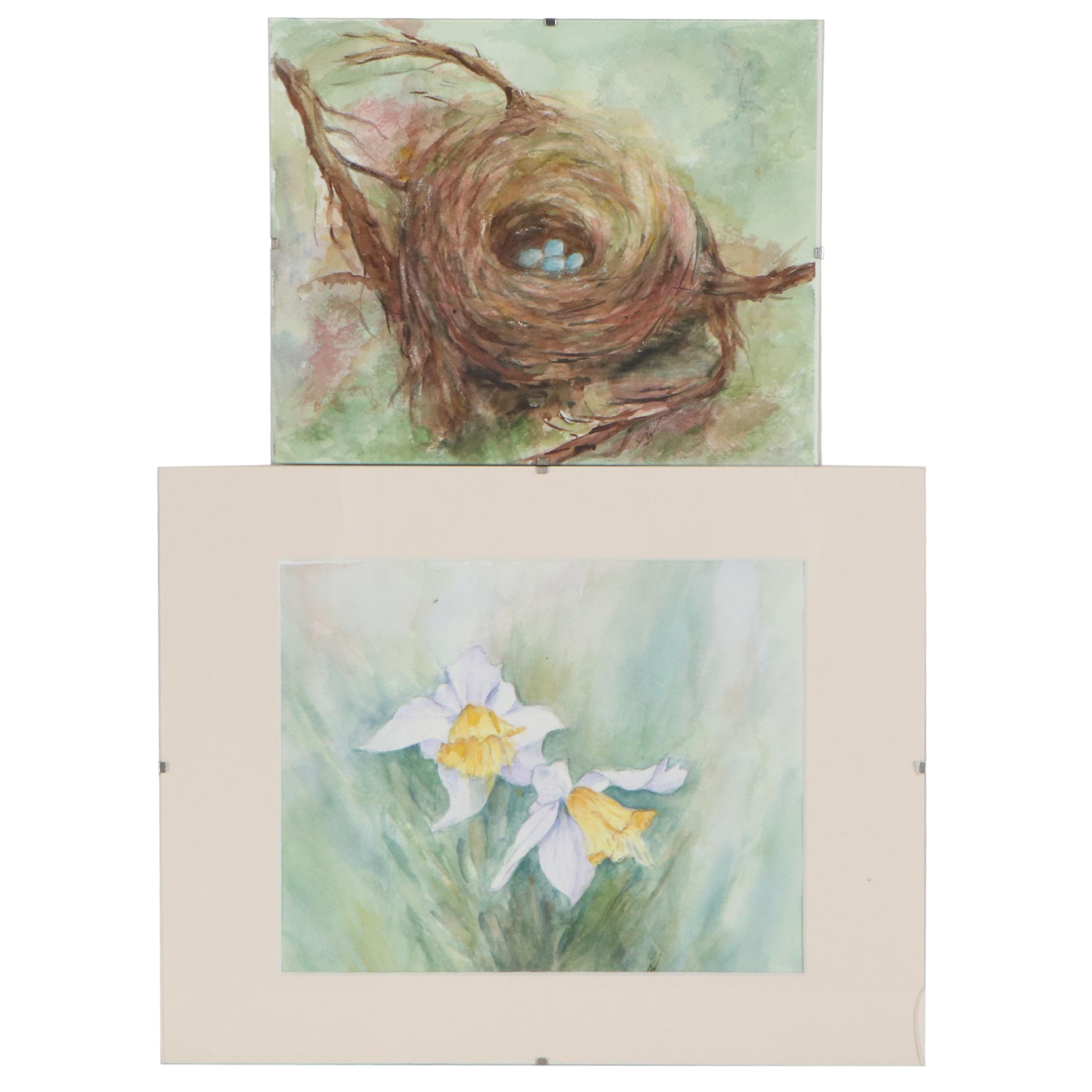 Judy Whittaker Watercolor Paintings of Bird's Nest and Daffodils