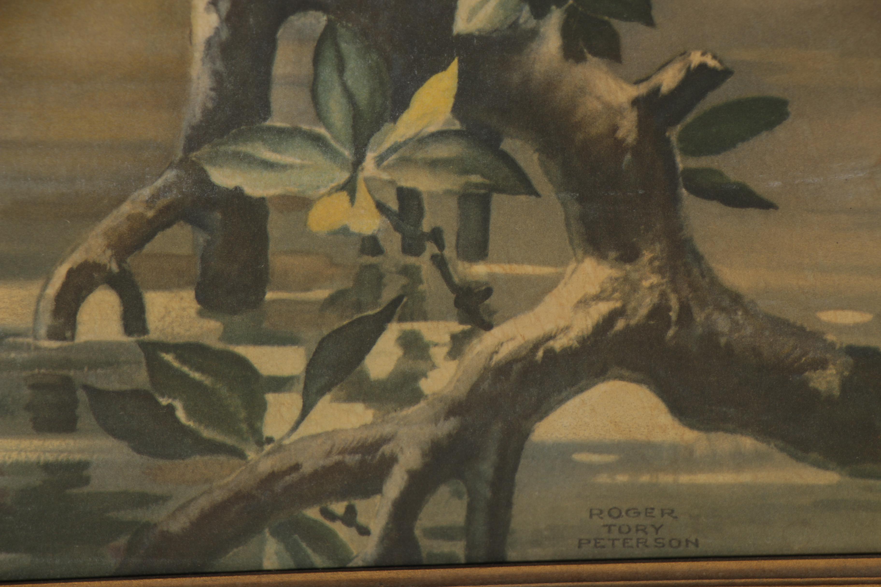 Offset Lithograph after Roger Tory Peterson "Flamingos No. 71"