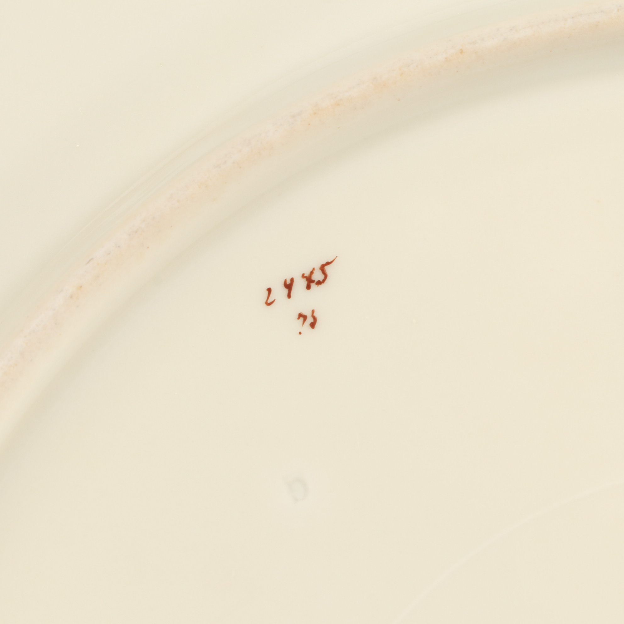 Rosenthal "Premier" Gold Rim Bone China Dinnerware