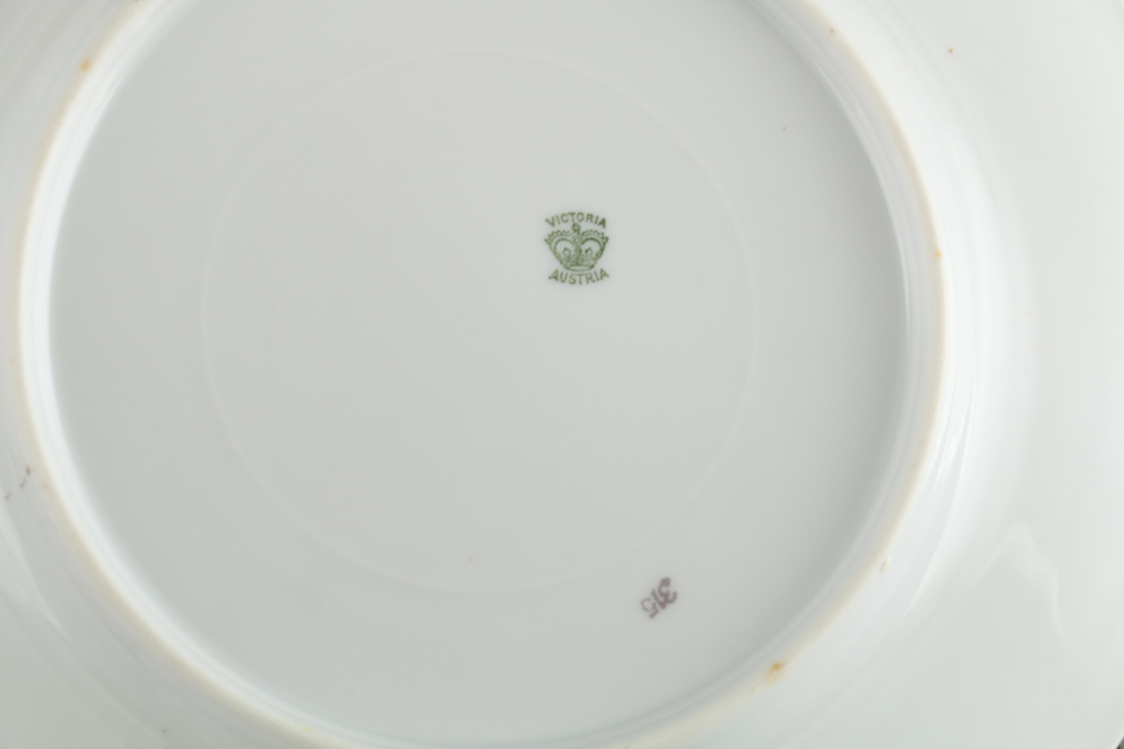 Charles Field Haviland and Victoria Austria Porcelain Plates, Antique