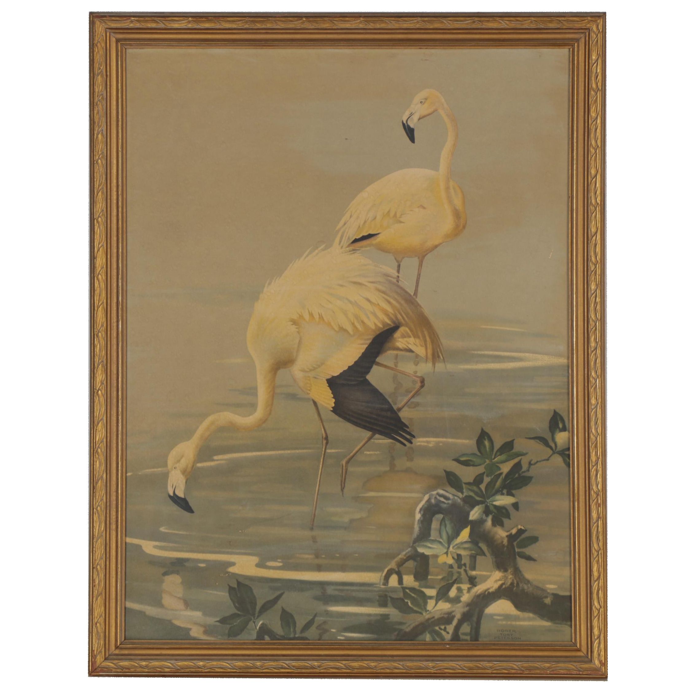 Offset Lithograph after Roger Tory Peterson "Flamingos No. 71"