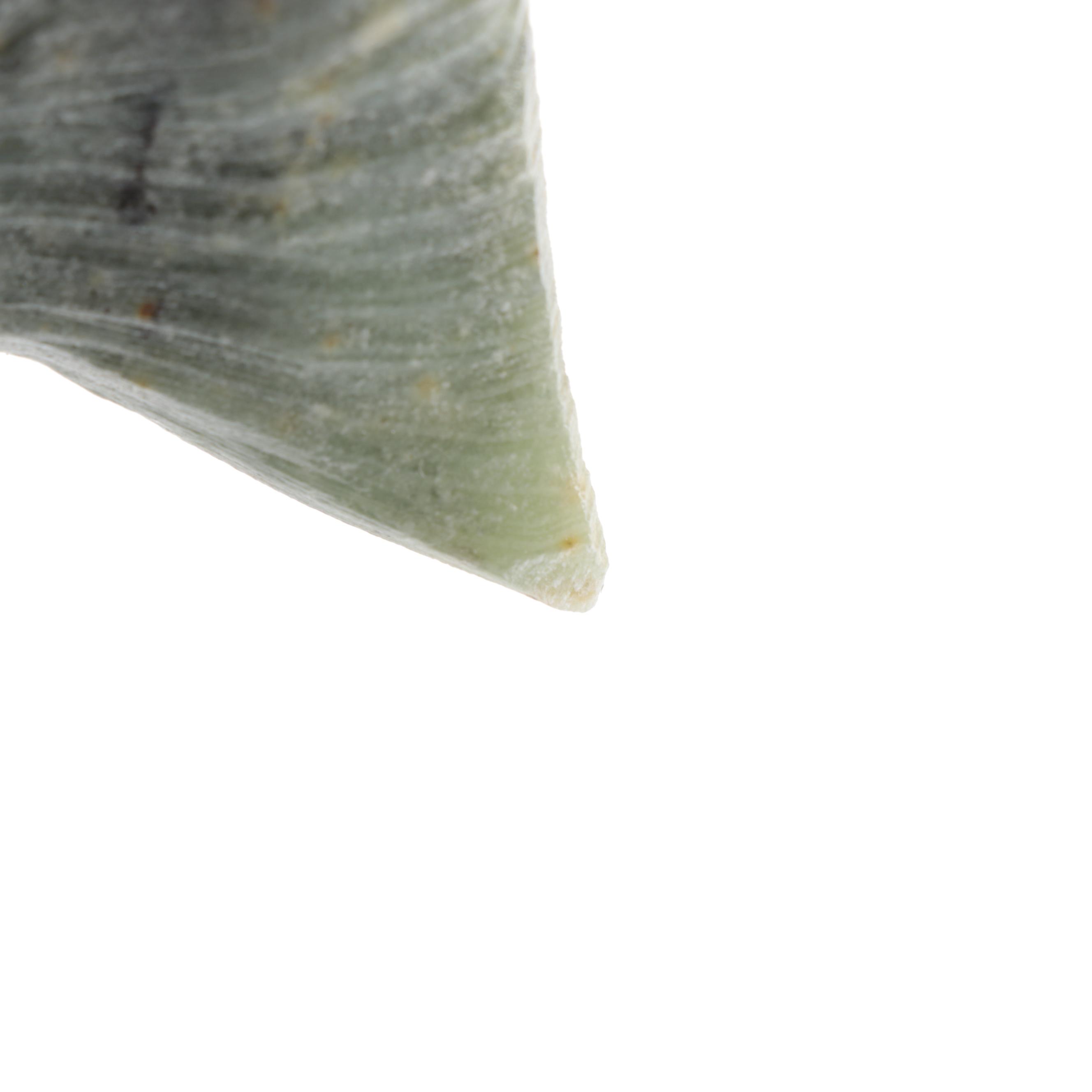 Dale Hanson Soapstone Sculpture "Arctic Char or Salmon"