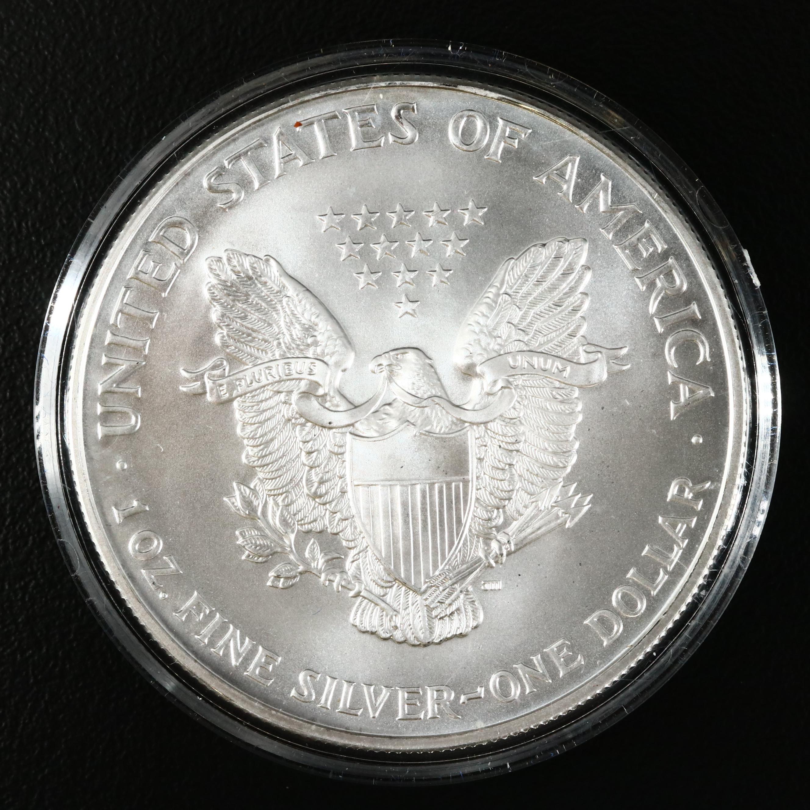 Colorized 1999 American Silver Eagle One Dollar Coin