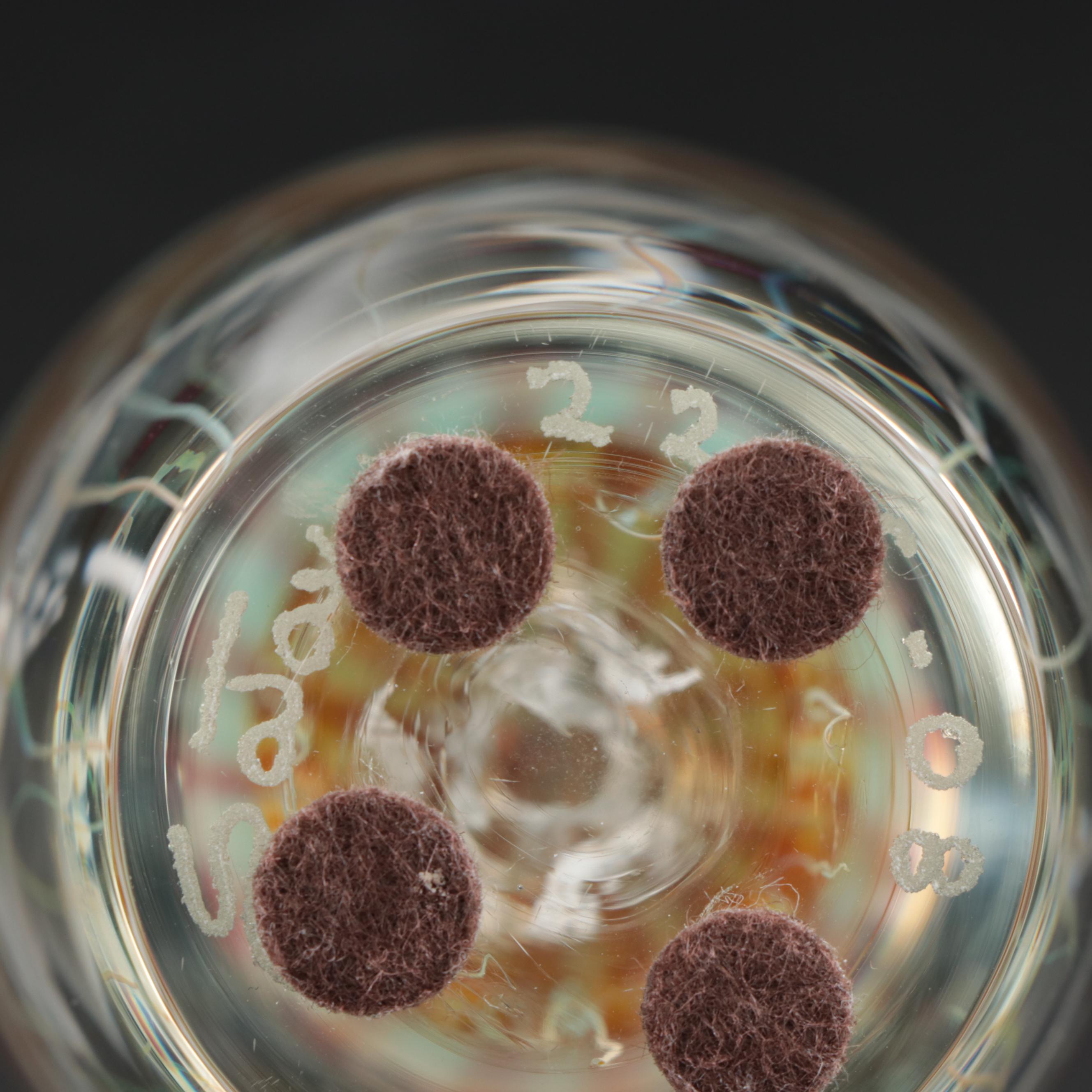 Satava Art Glass Jellyfish Paperweight