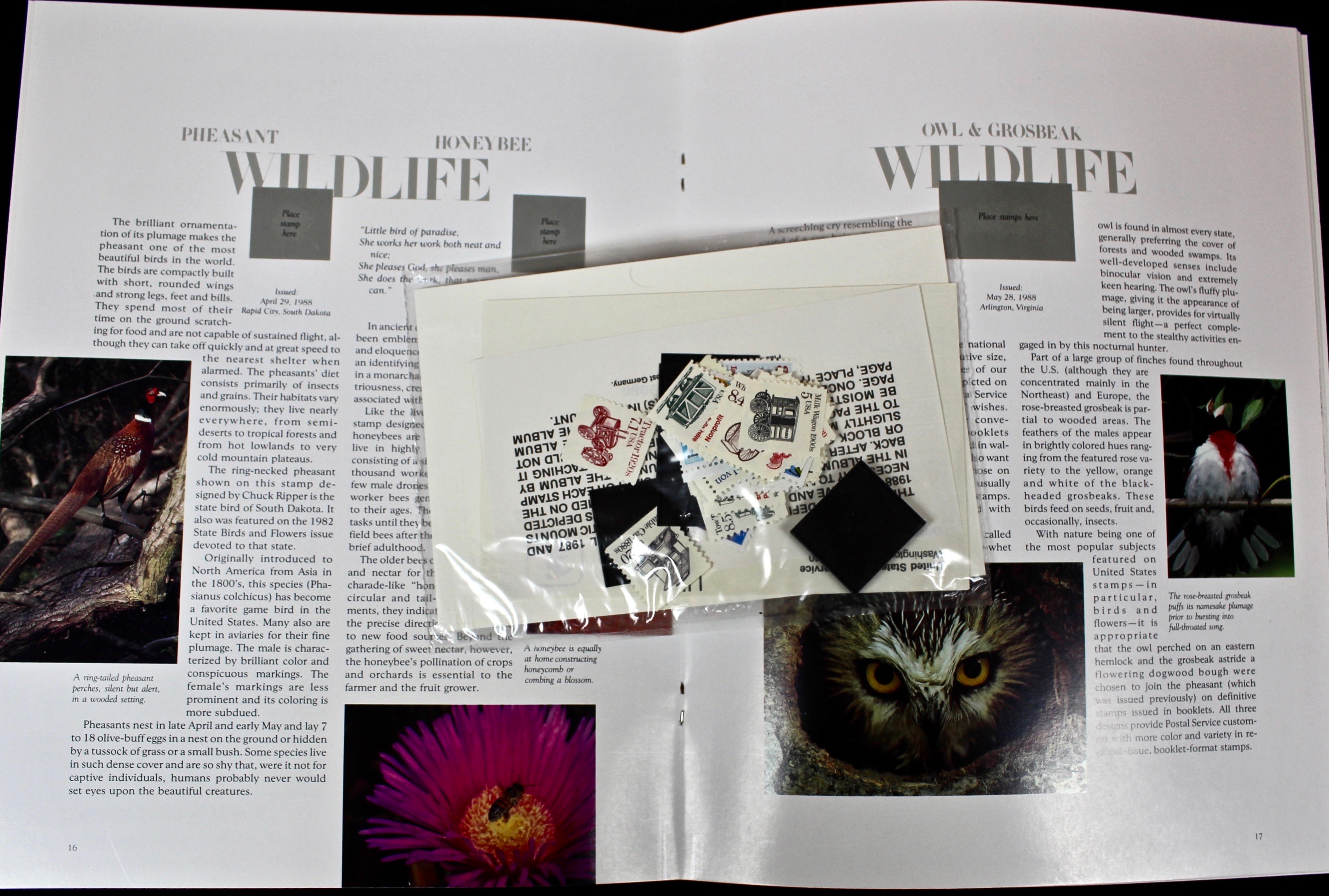 Fifteen Different U.S. Government Postage Stamp Mint Sets, 1972–1991