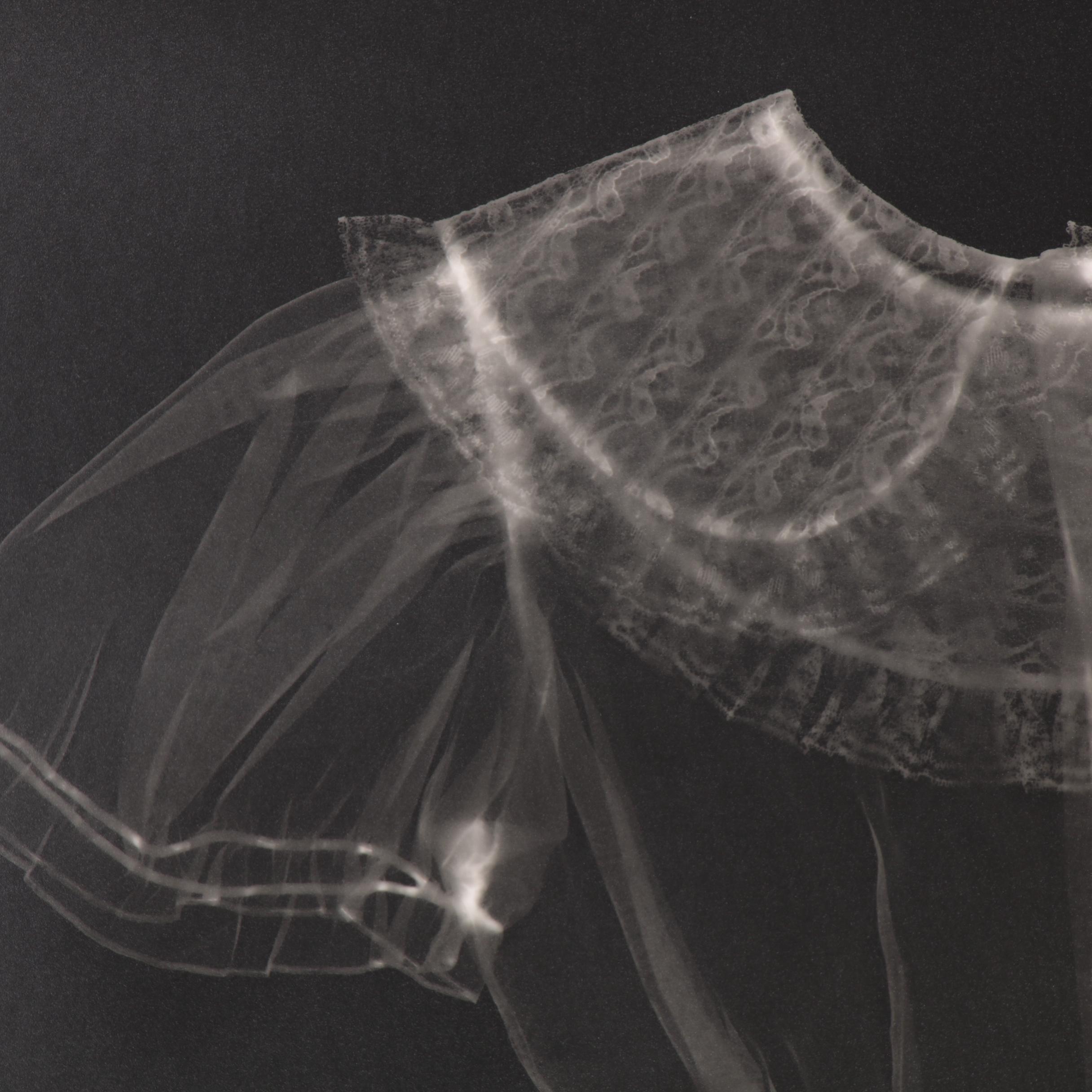 Karen Savage Life-Size Photogram of Dress